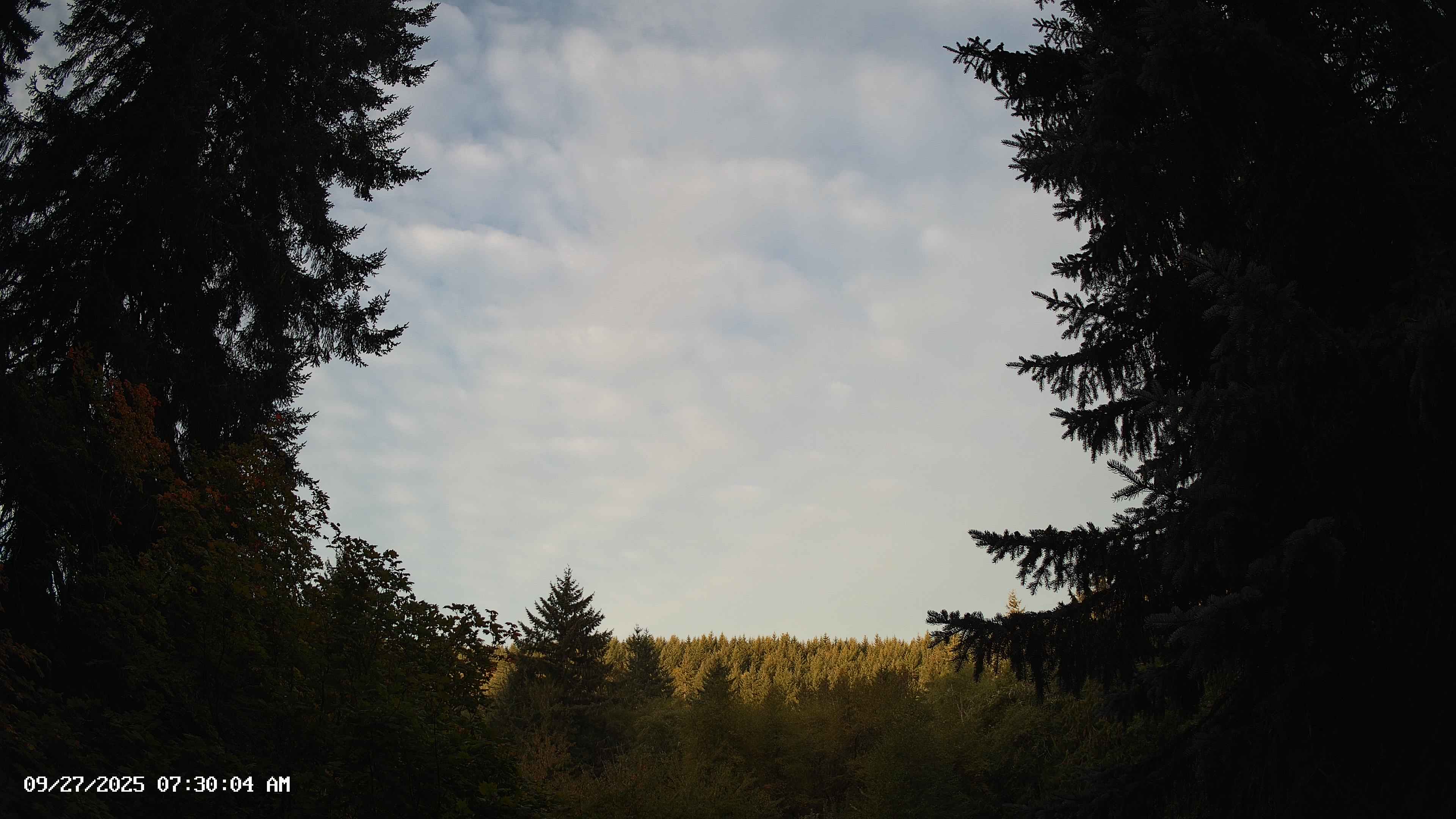 Pacific Northwest skyline timelapse on Sep 27, 2025 at 7:30 AM