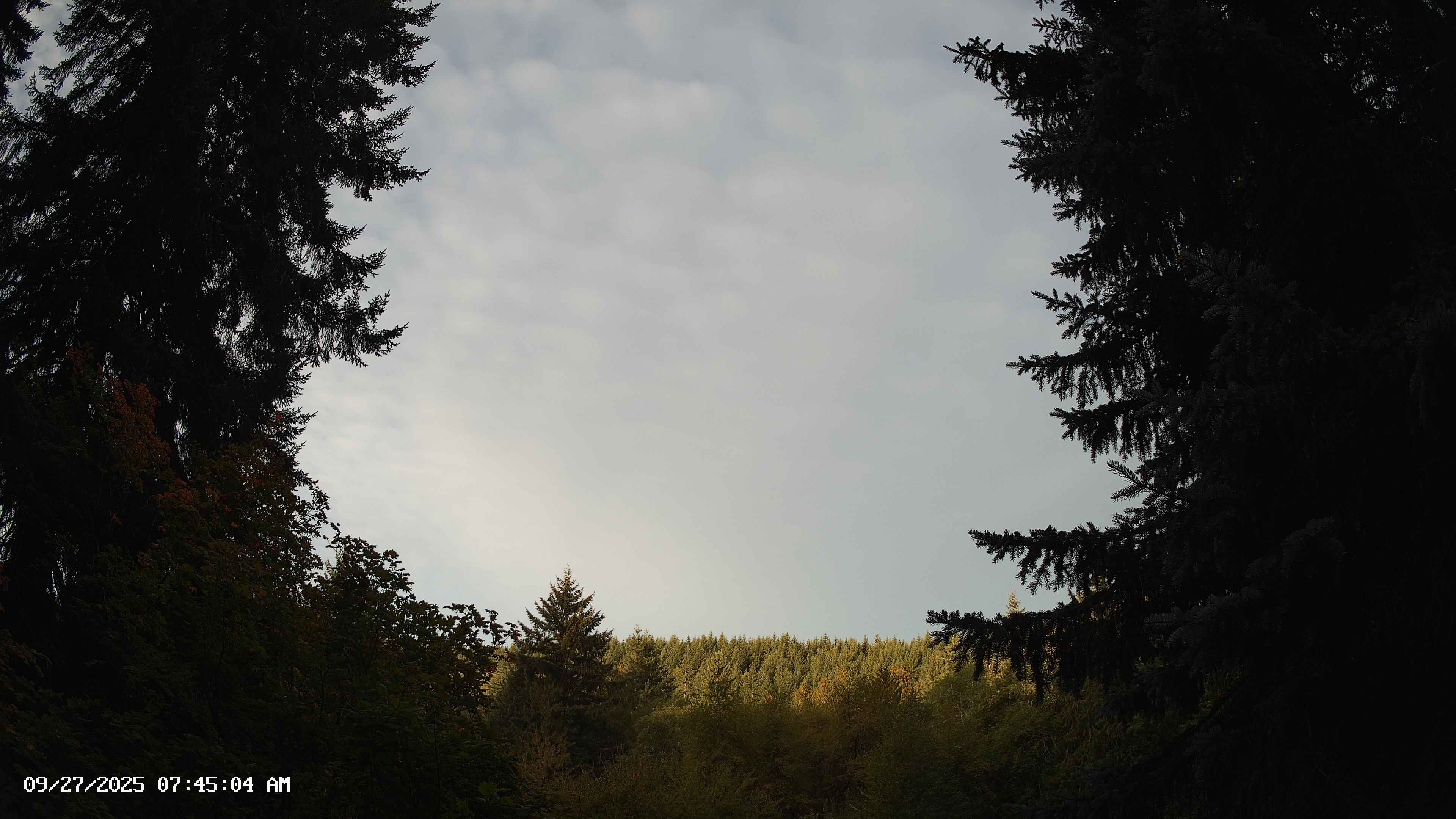Pacific Northwest skyline timelapse on Sep 27, 2025 at 7:45 AM