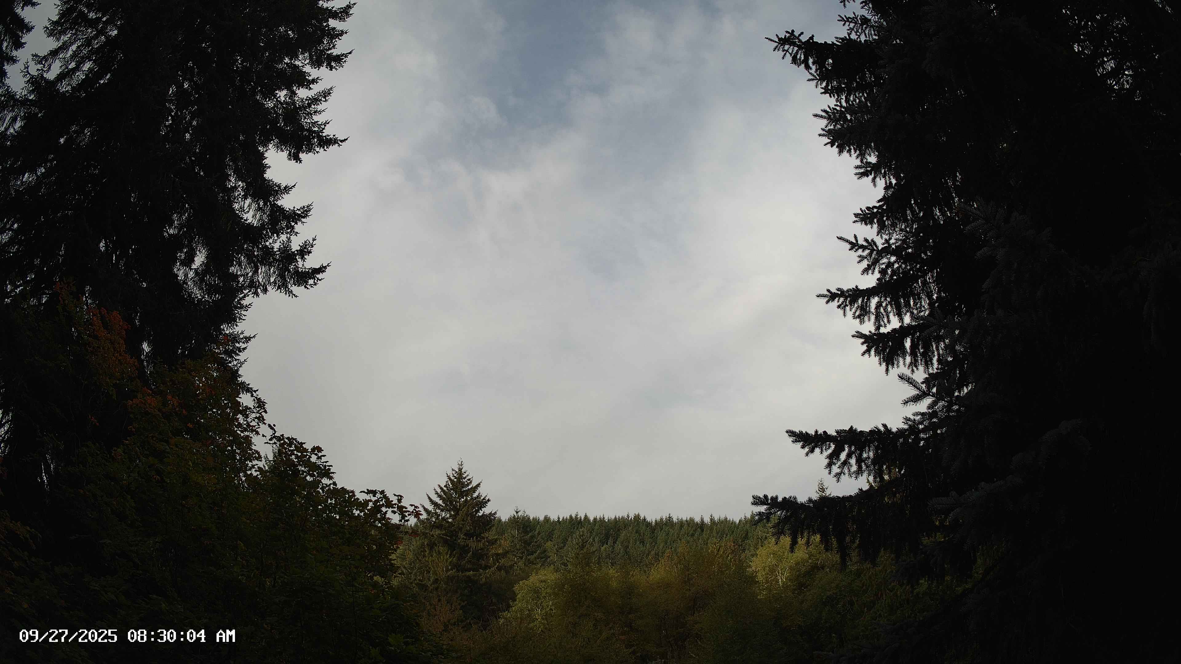 Pacific Northwest skyline timelapse on Sep 27, 2025 at 8:30 AM