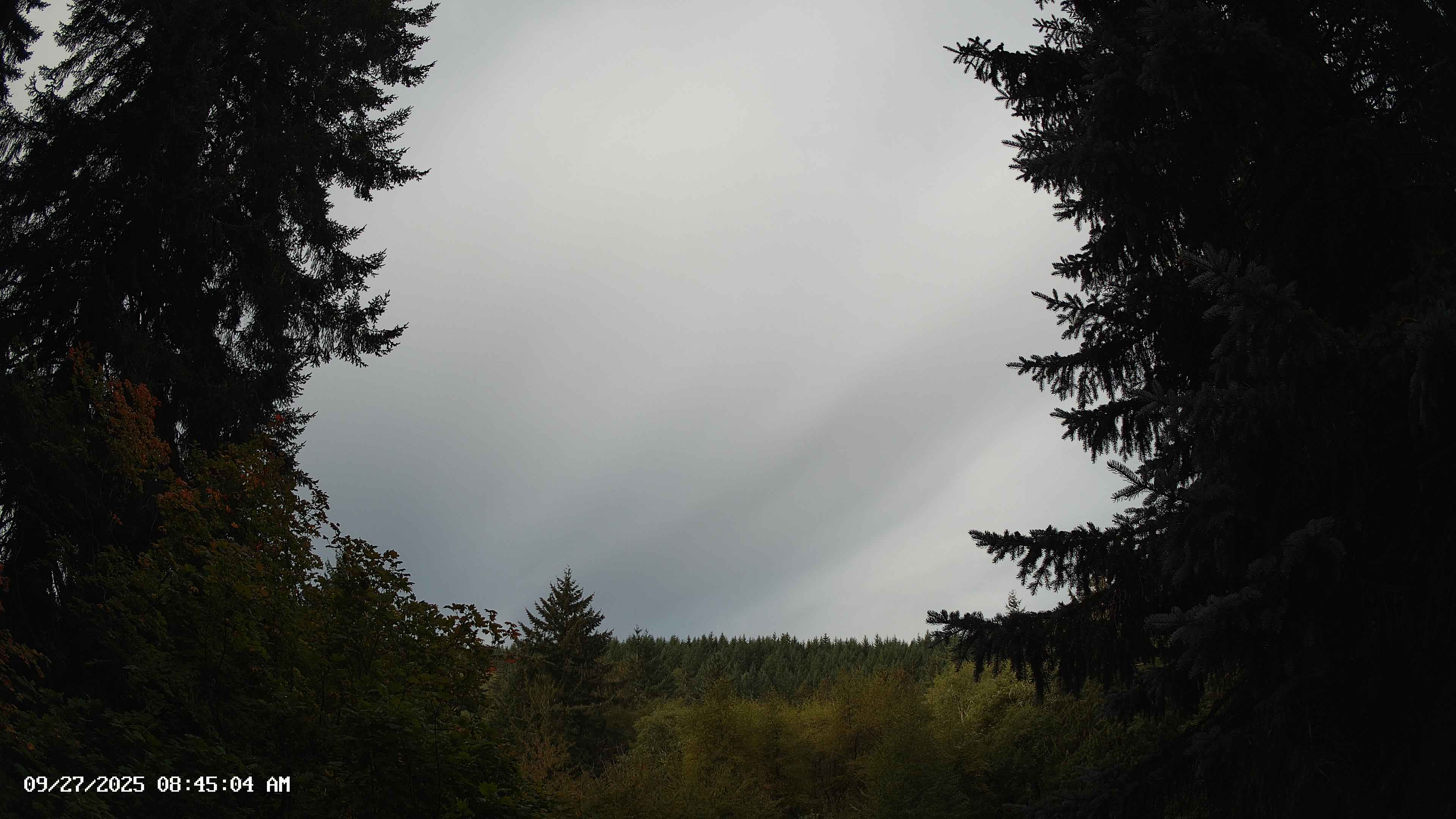 Pacific Northwest skyline timelapse on Sep 27, 2025 at 8:45 AM