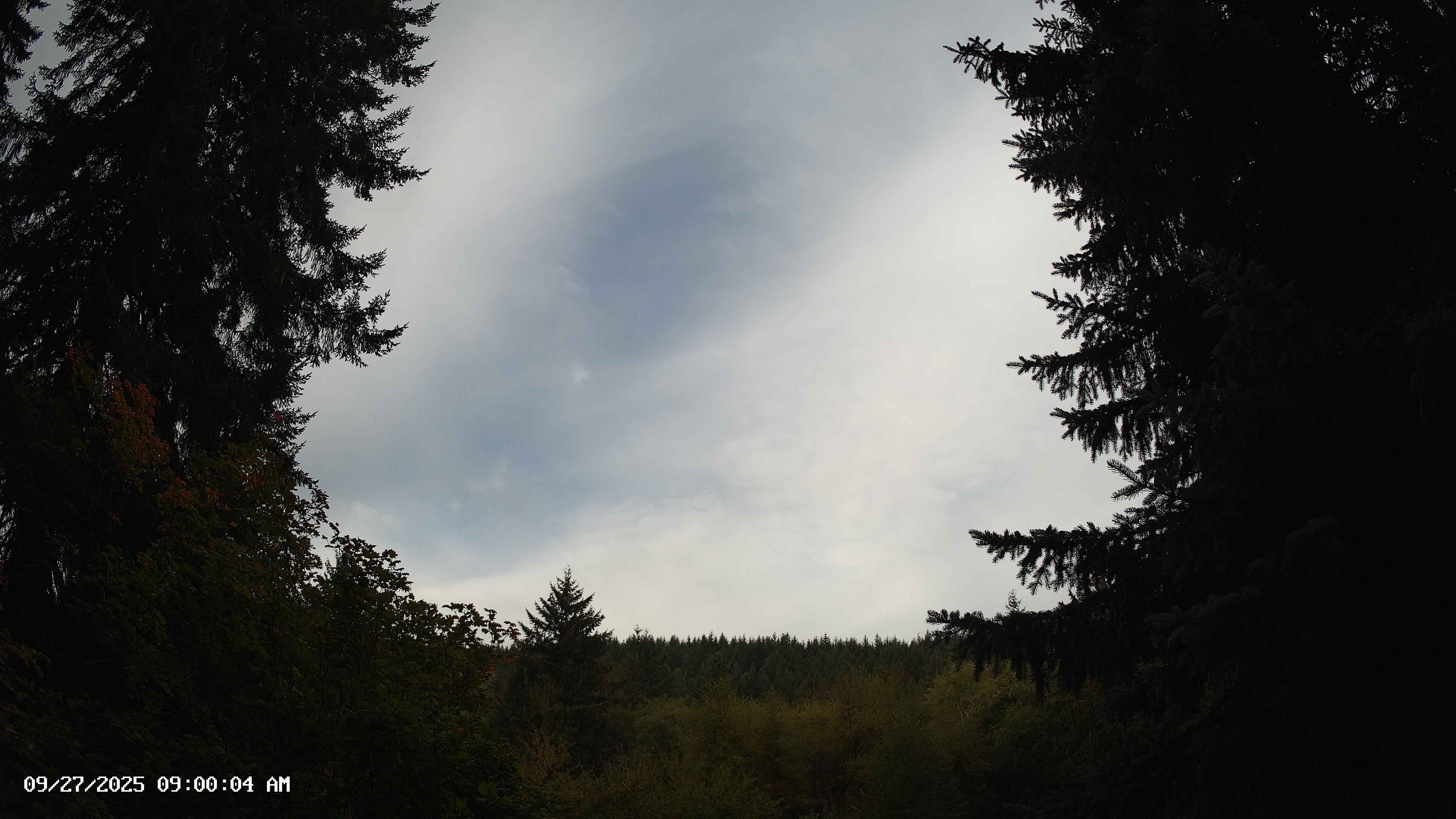 Pacific Northwest skyline timelapse on Sep 27, 2025 at 9:00 AM