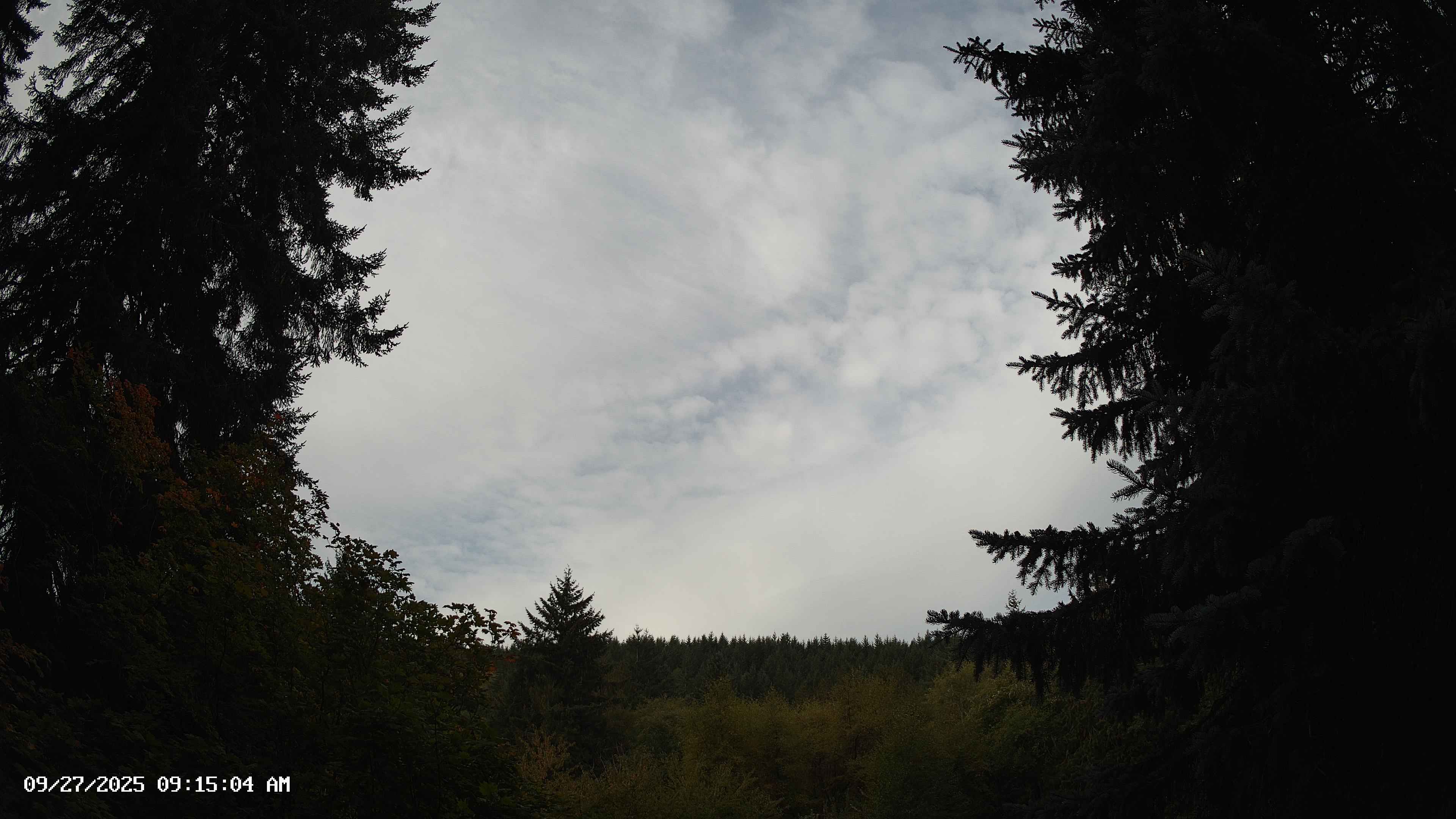 Pacific Northwest skyline timelapse on Sep 27, 2025 at 9:15 AM