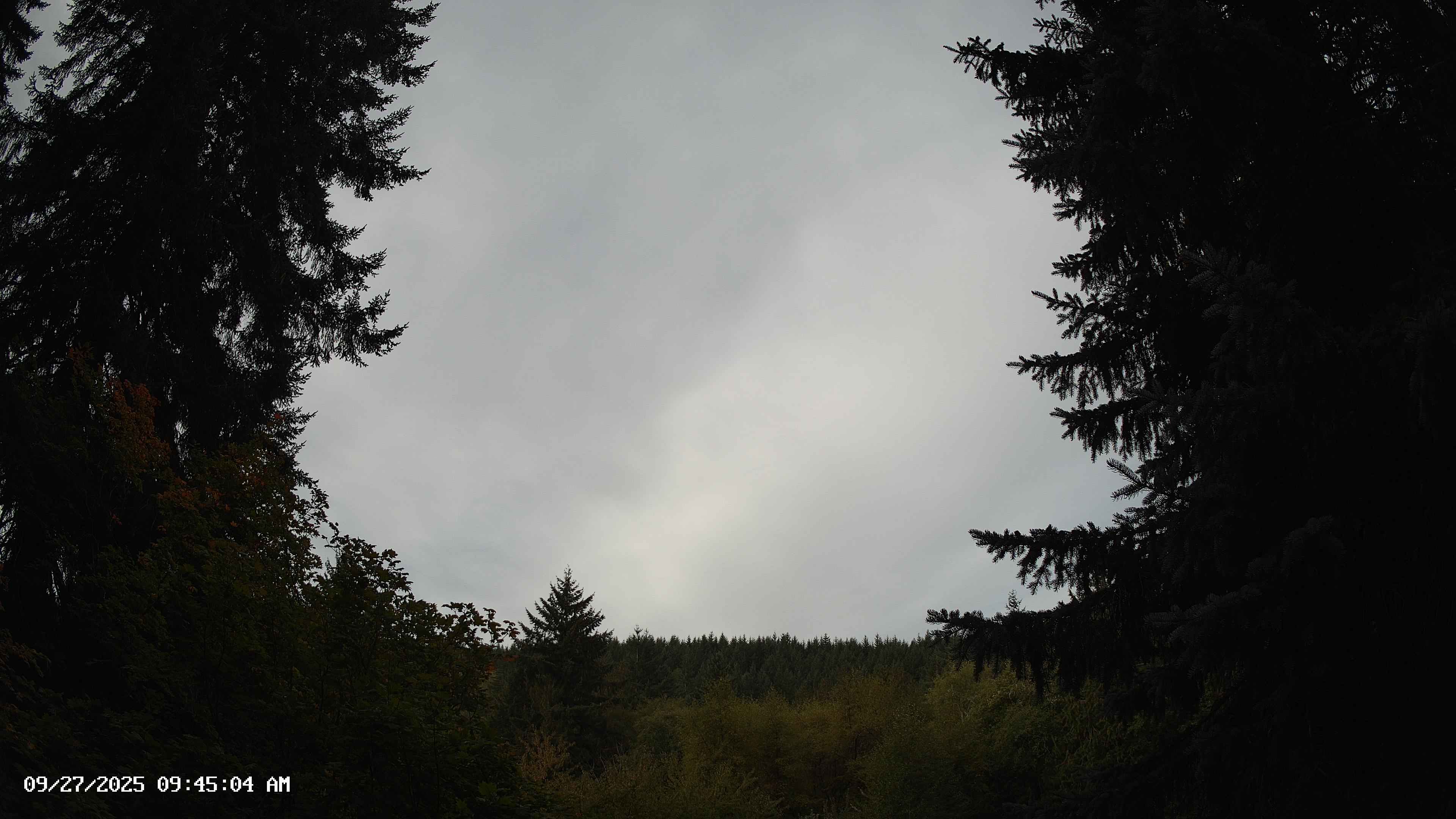 Pacific Northwest skyline timelapse on Sep 27, 2025 at 9:45 AM