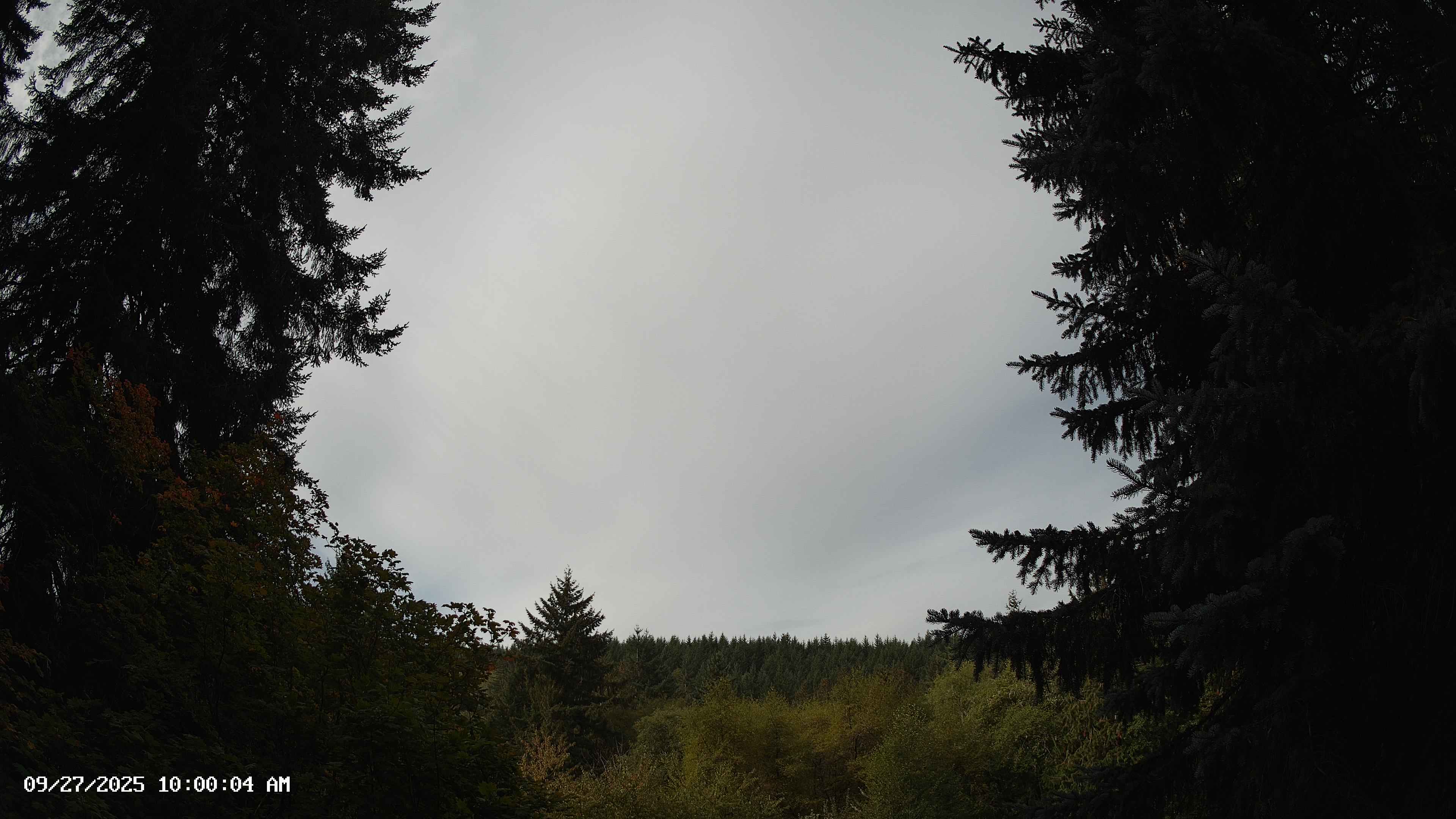 Pacific Northwest skyline timelapse on Sep 27, 2025 at 10:00 AM