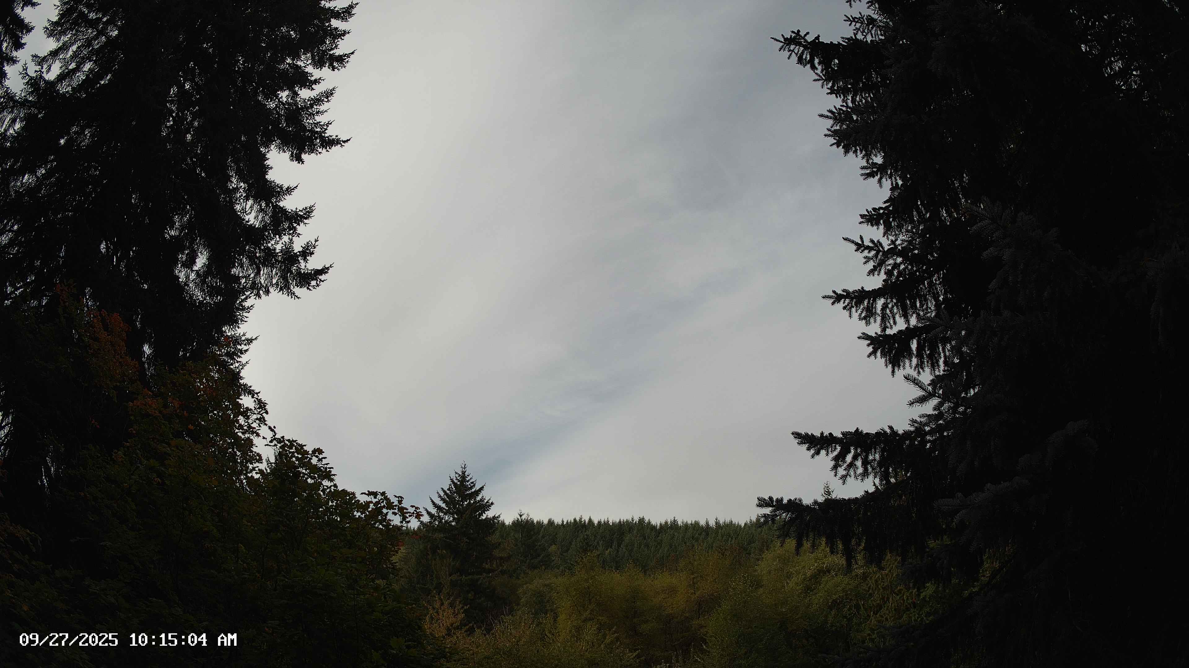 Pacific Northwest skyline timelapse on Sep 27, 2025 at 10:15 AM