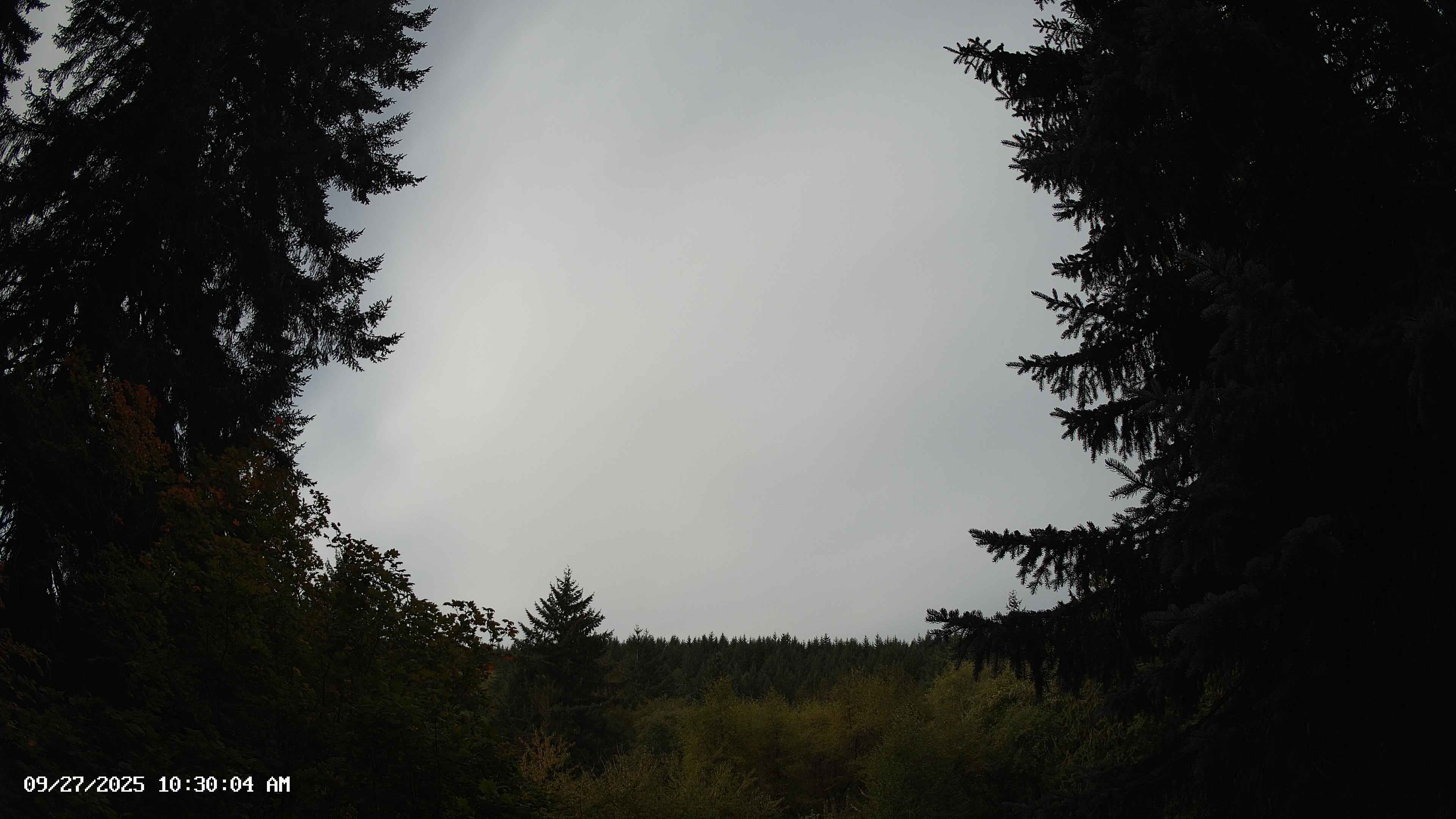 Pacific Northwest skyline timelapse on Sep 27, 2025 at 10:30 AM