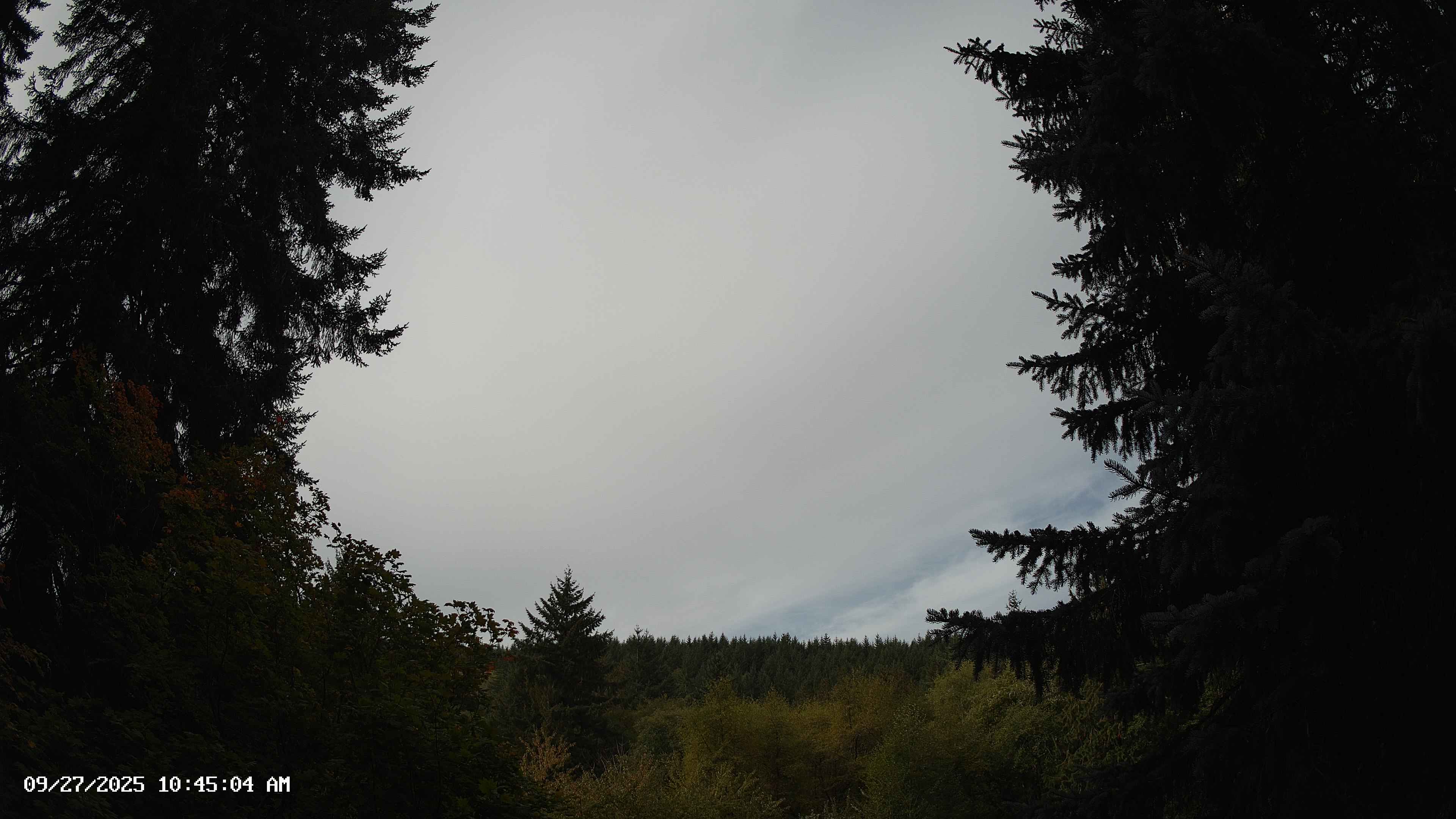 Pacific Northwest skyline timelapse on Sep 27, 2025 at 10:45 AM