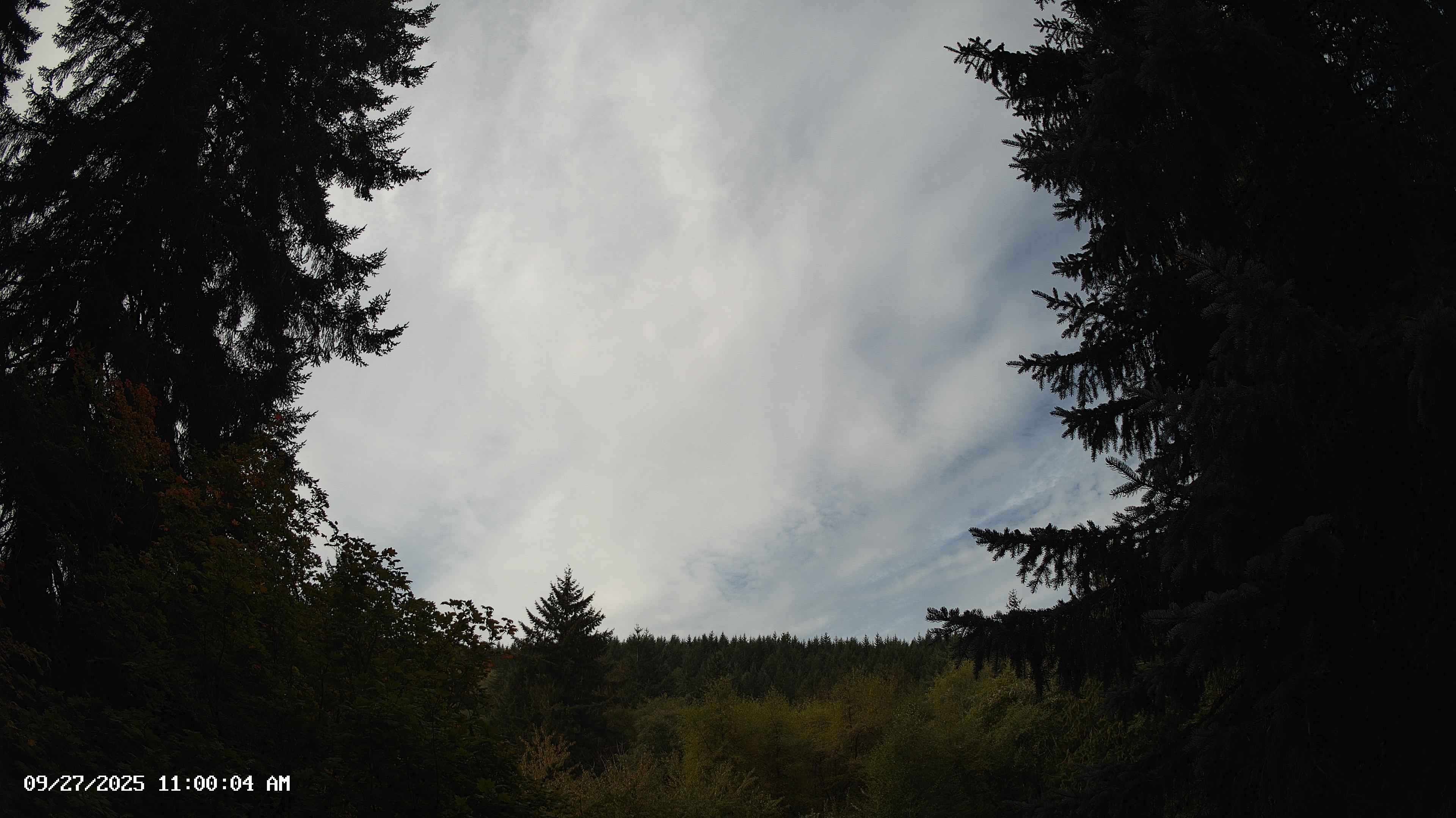 Pacific Northwest skyline timelapse on Sep 27, 2025 at 11:00 AM