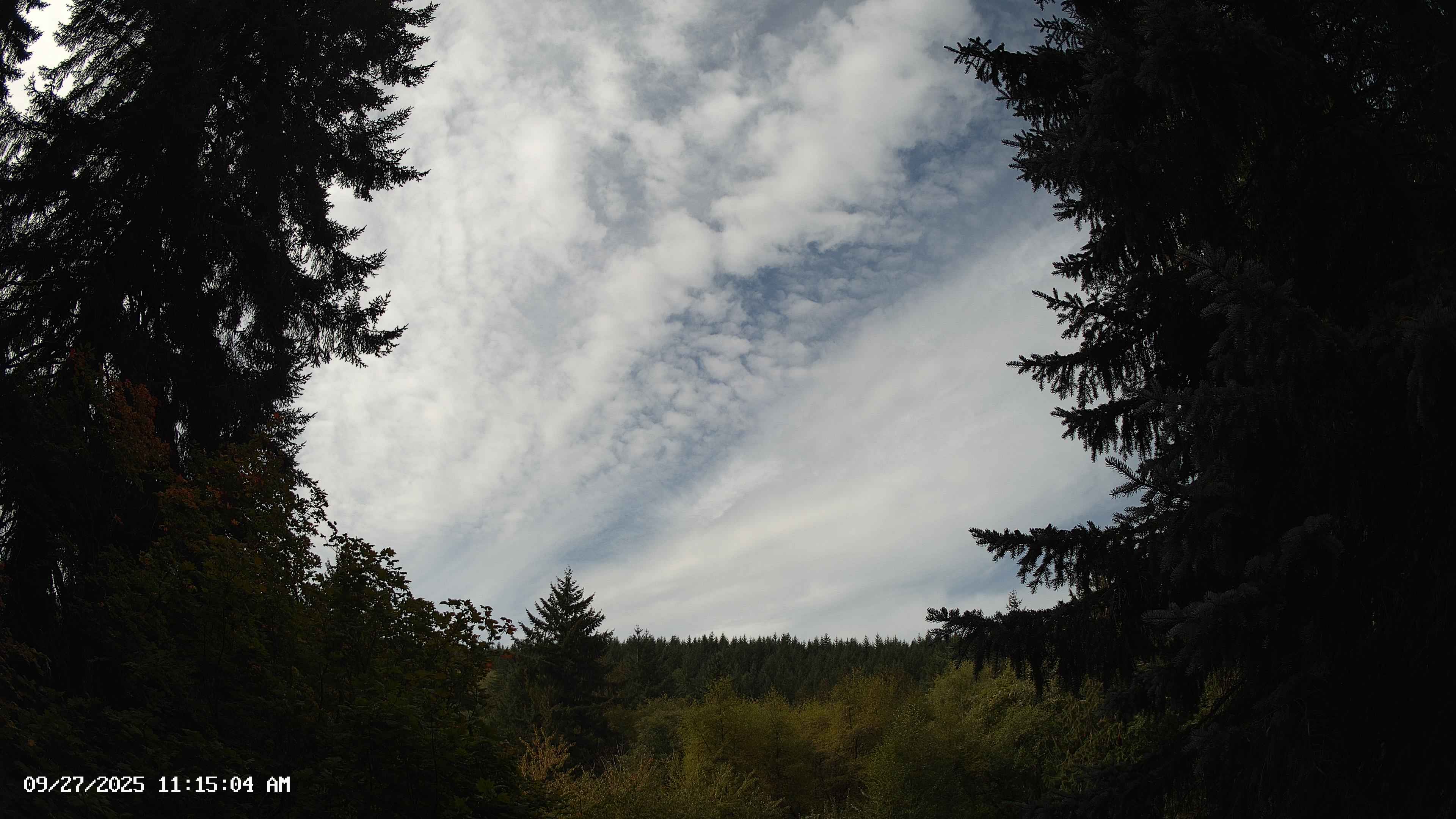 Pacific Northwest skyline timelapse on Sep 27, 2025 at 11:15 AM