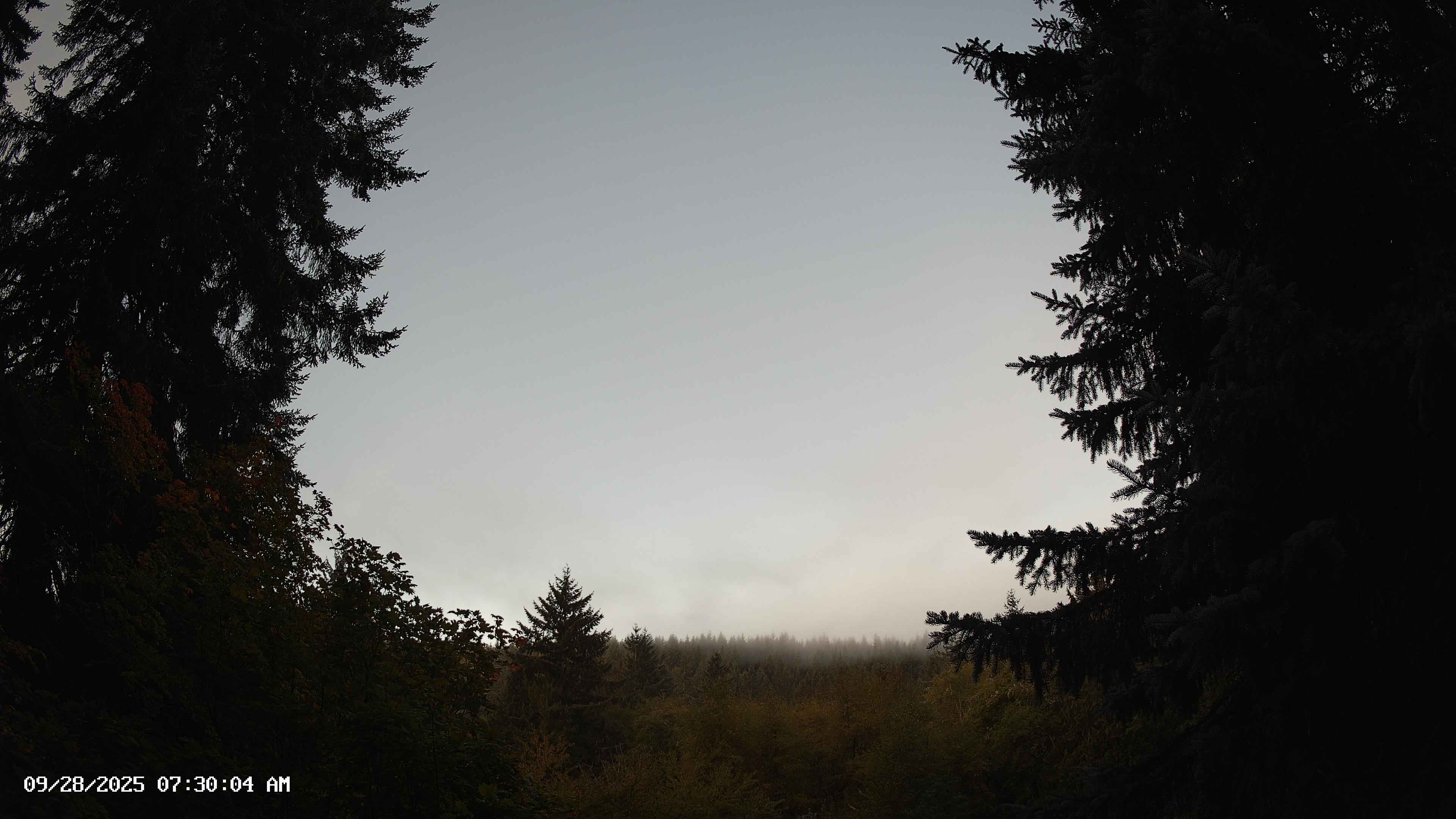 Pacific Northwest skyline timelapse on Sep 28, 2025 at 7:30 AM