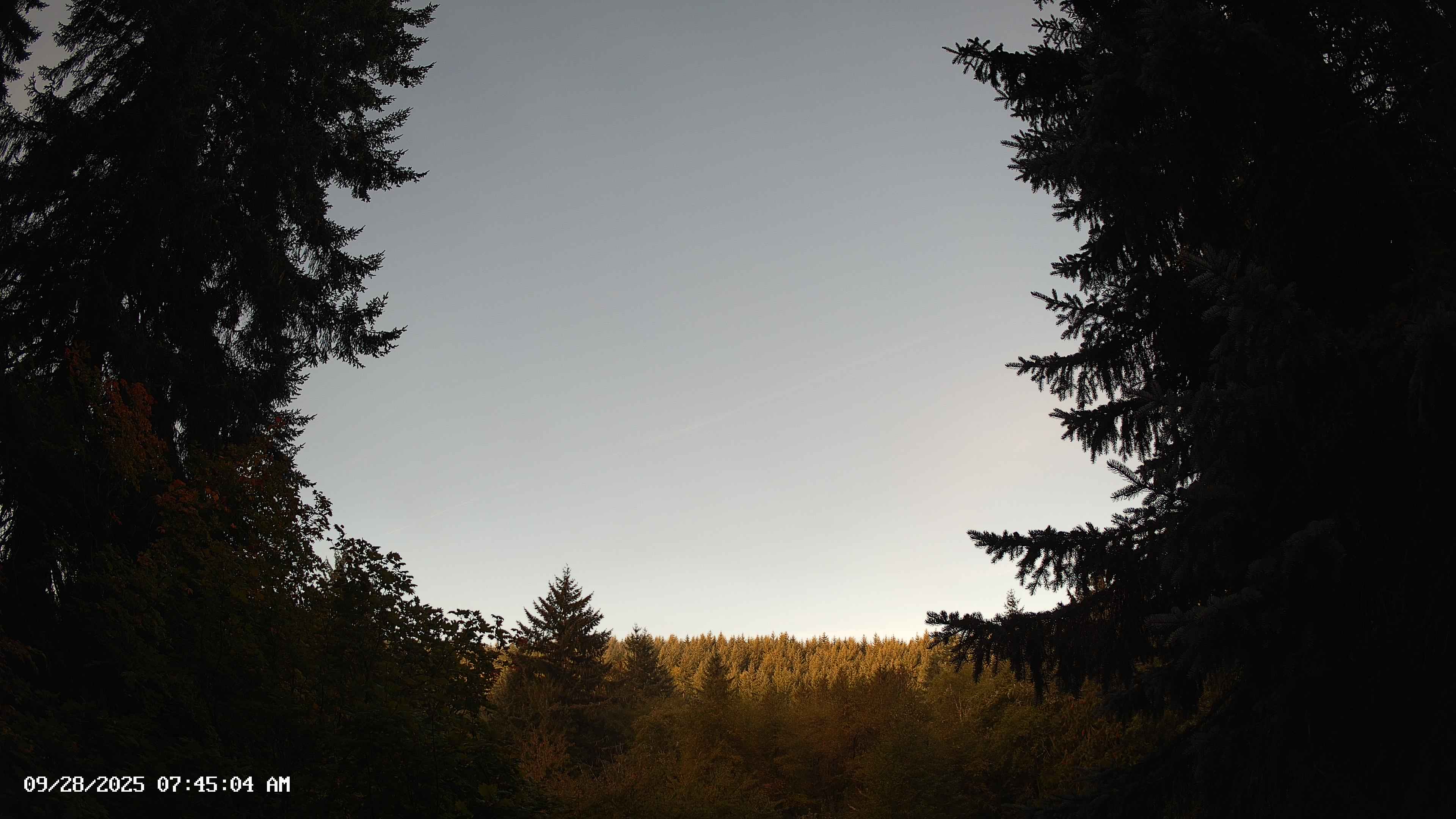 Pacific Northwest skyline timelapse on Sep 28, 2025 at 7:45 AM