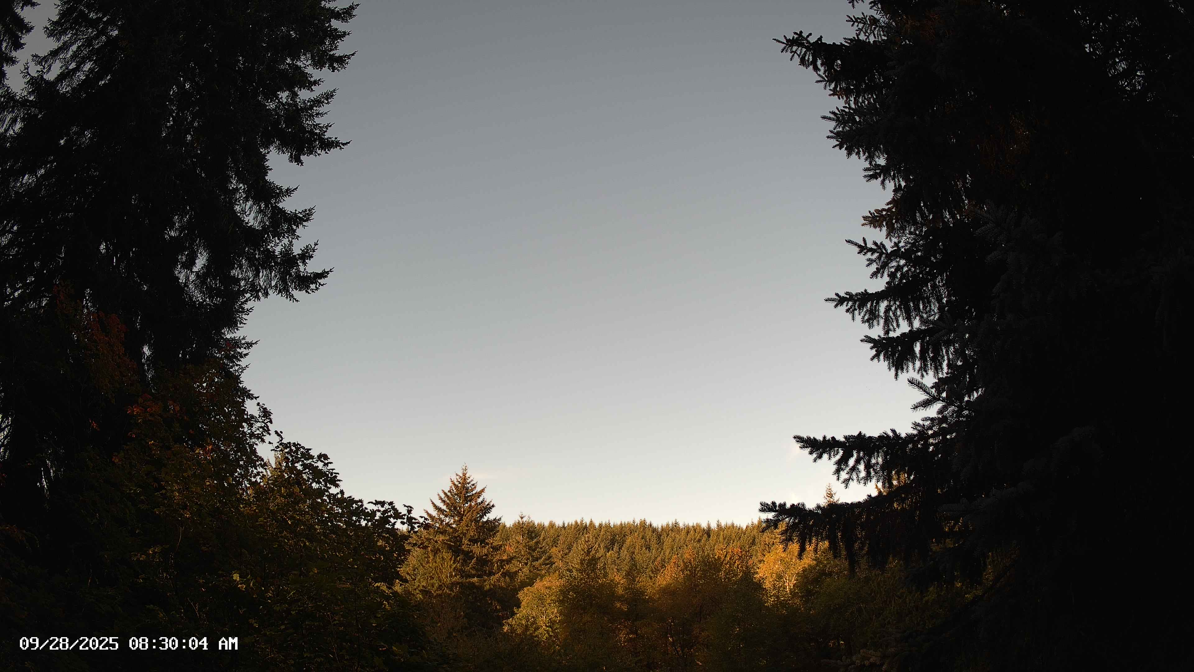 Pacific Northwest skyline timelapse on Sep 28, 2025 at 8:30 AM