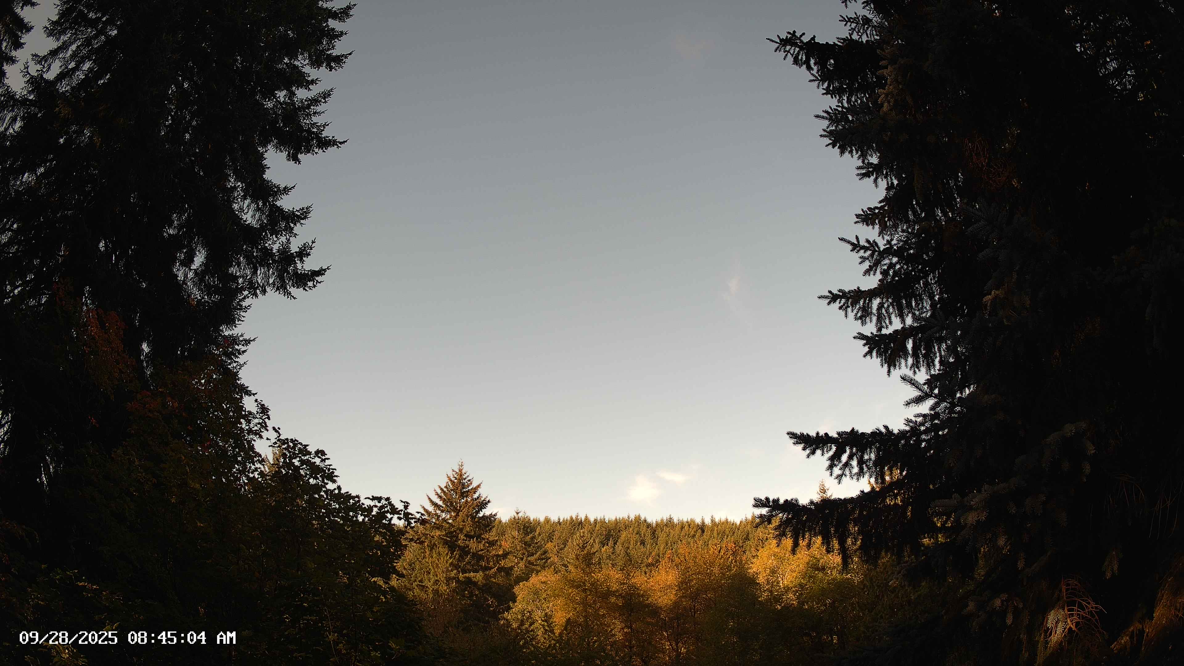 Pacific Northwest skyline timelapse on Sep 28, 2025 at 8:45 AM