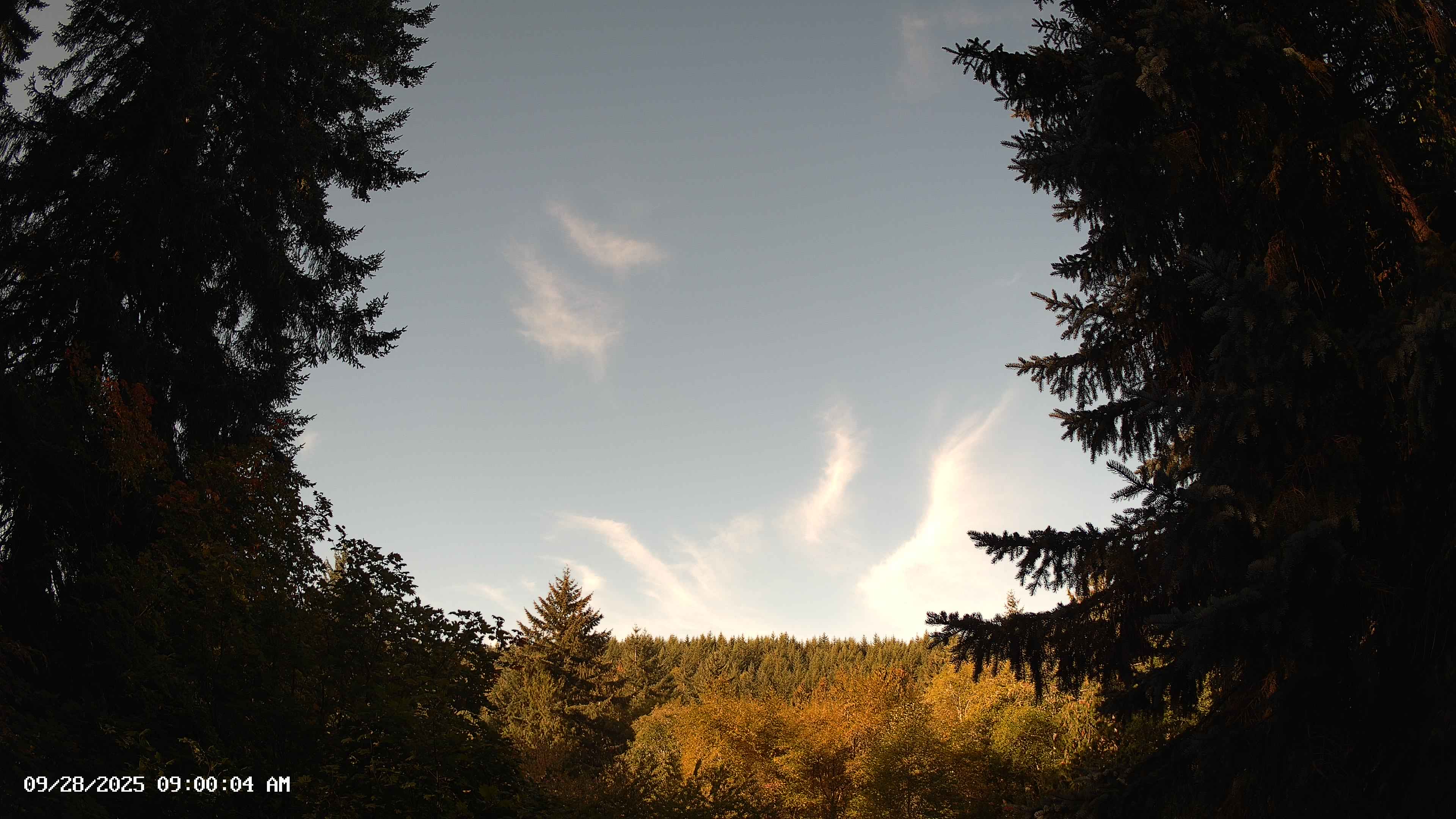 Pacific Northwest skyline timelapse on Sep 28, 2025 at 9:00 AM