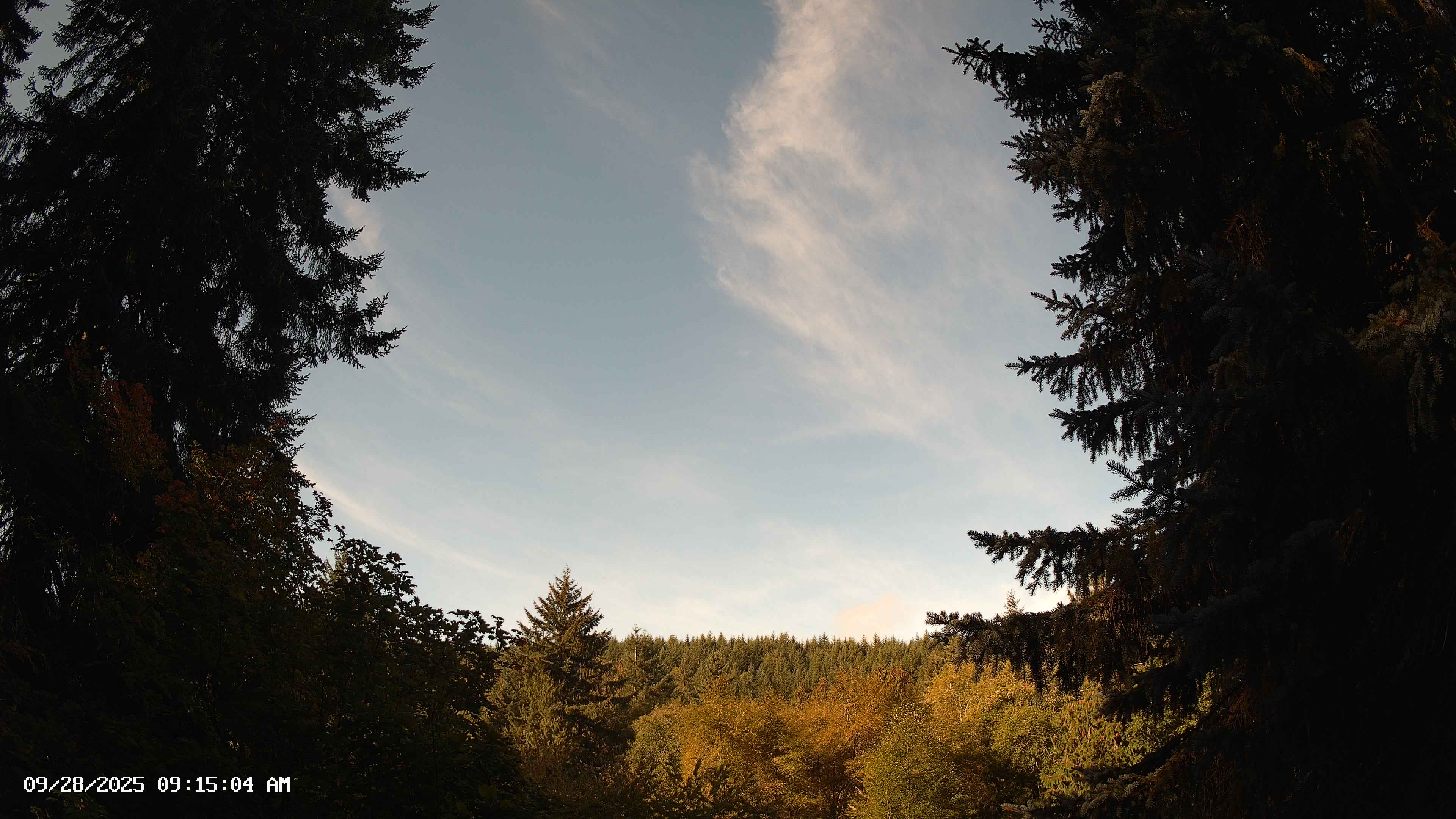 Pacific Northwest skyline timelapse on Sep 28, 2025 at 9:15 AM