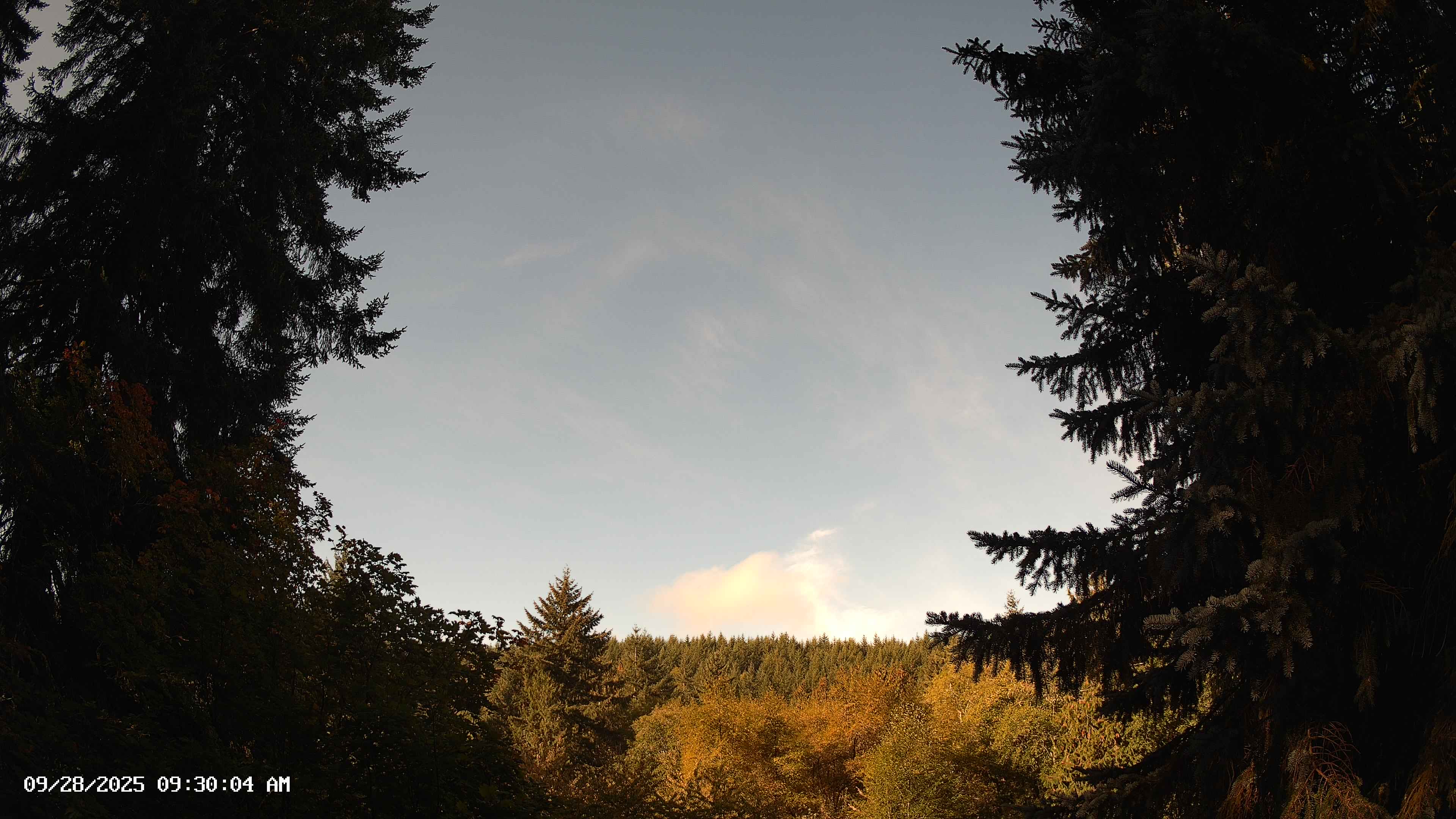 Pacific Northwest skyline timelapse on Sep 28, 2025 at 9:30 AM