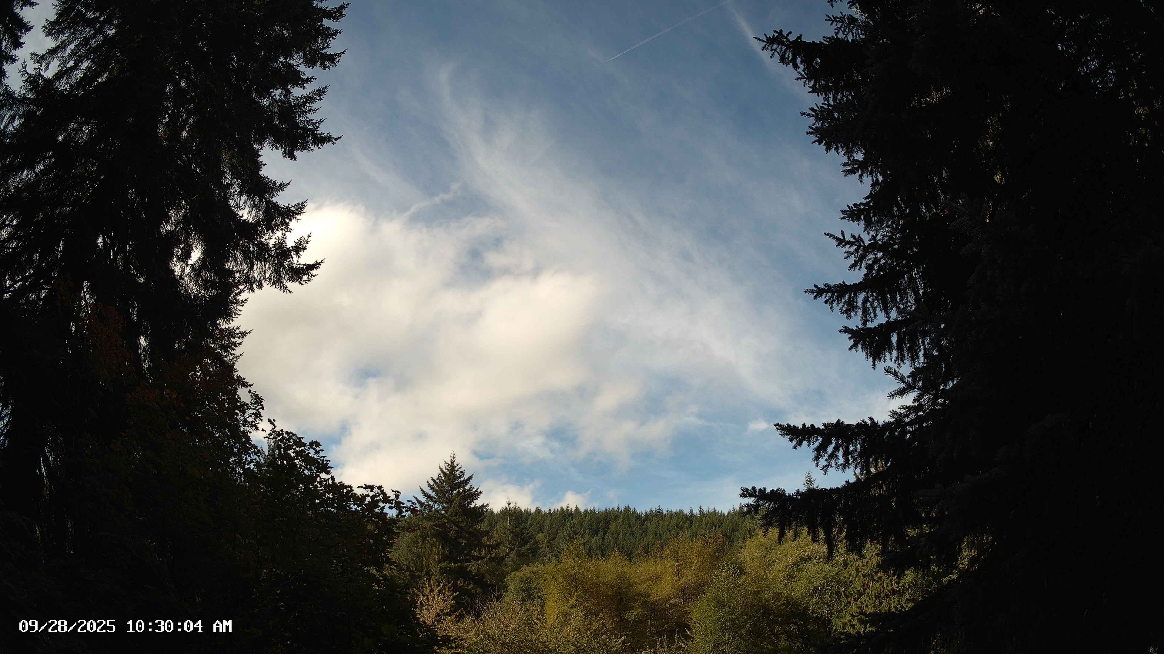 Pacific Northwest skyline timelapse on Sep 28, 2025 at 10:30 AM