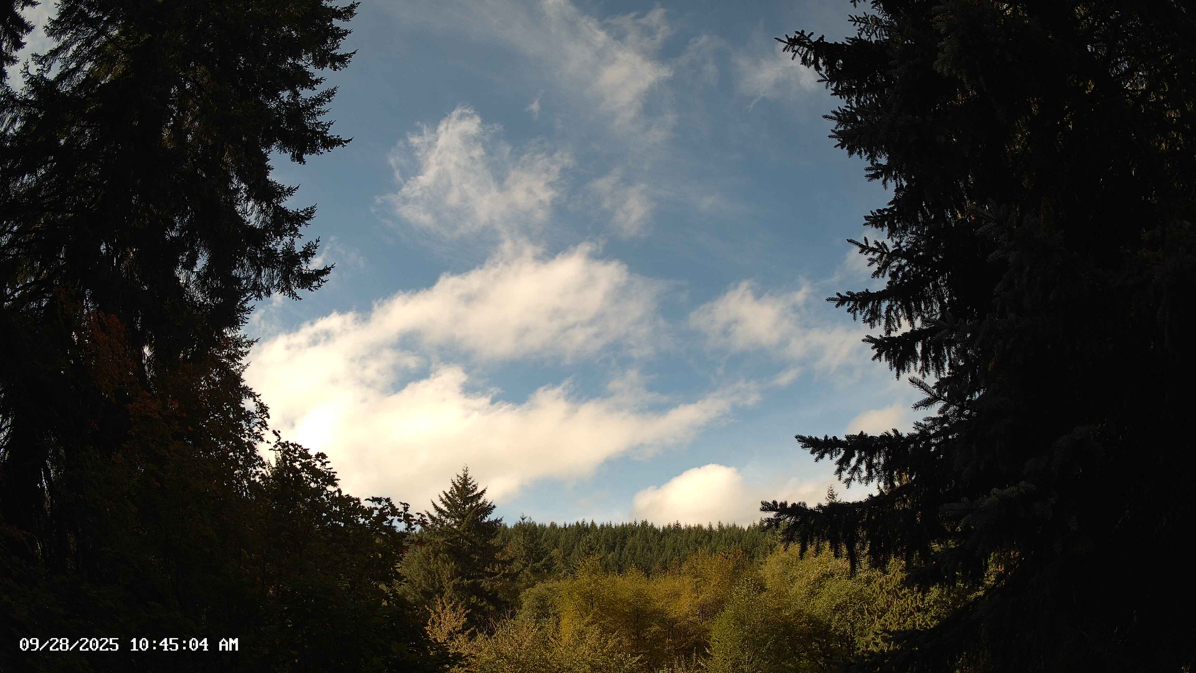 Pacific Northwest skyline timelapse on Sep 28, 2025 at 10:45 AM