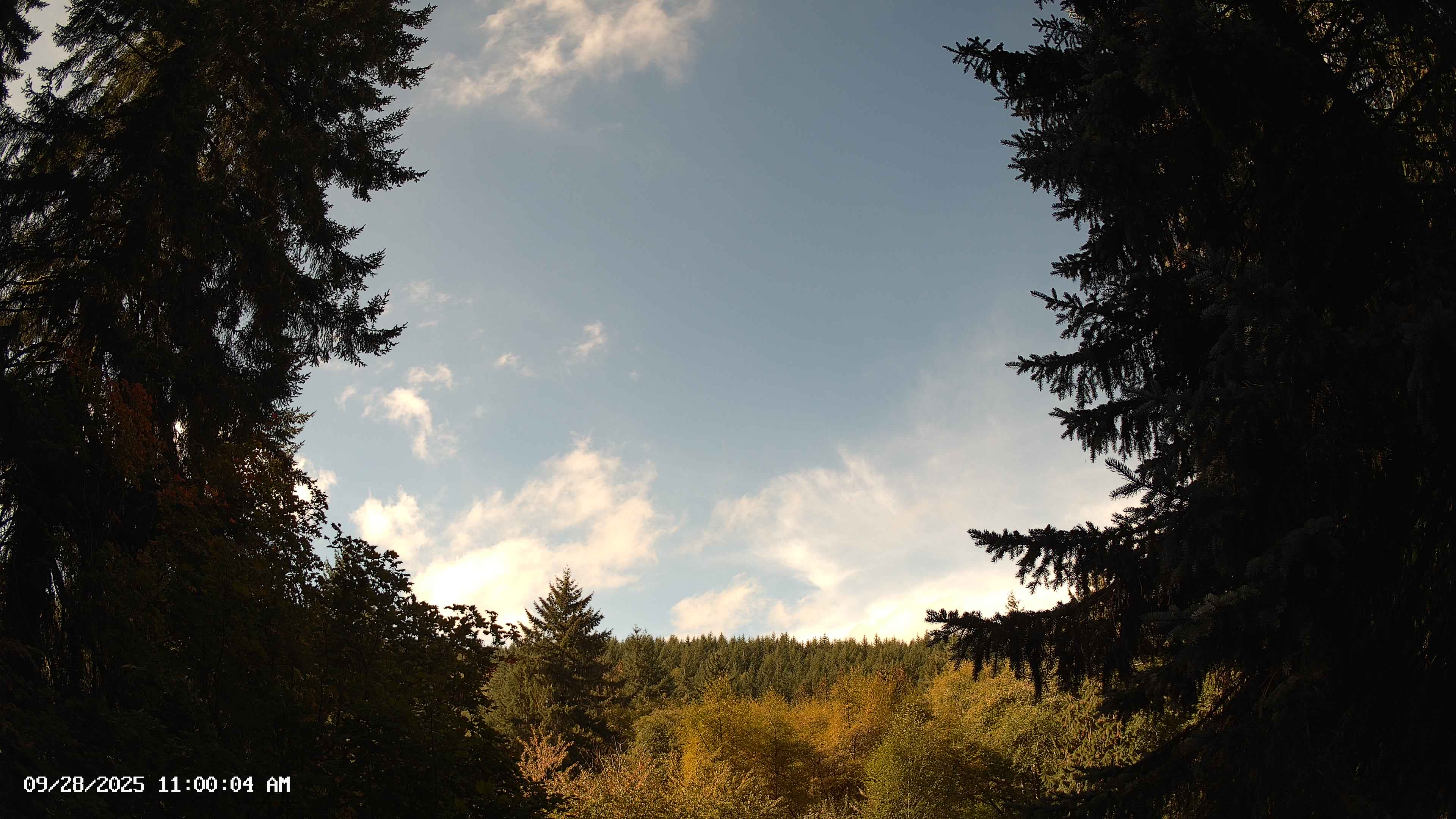 Pacific Northwest skyline timelapse on Sep 28, 2025 at 11:00 AM