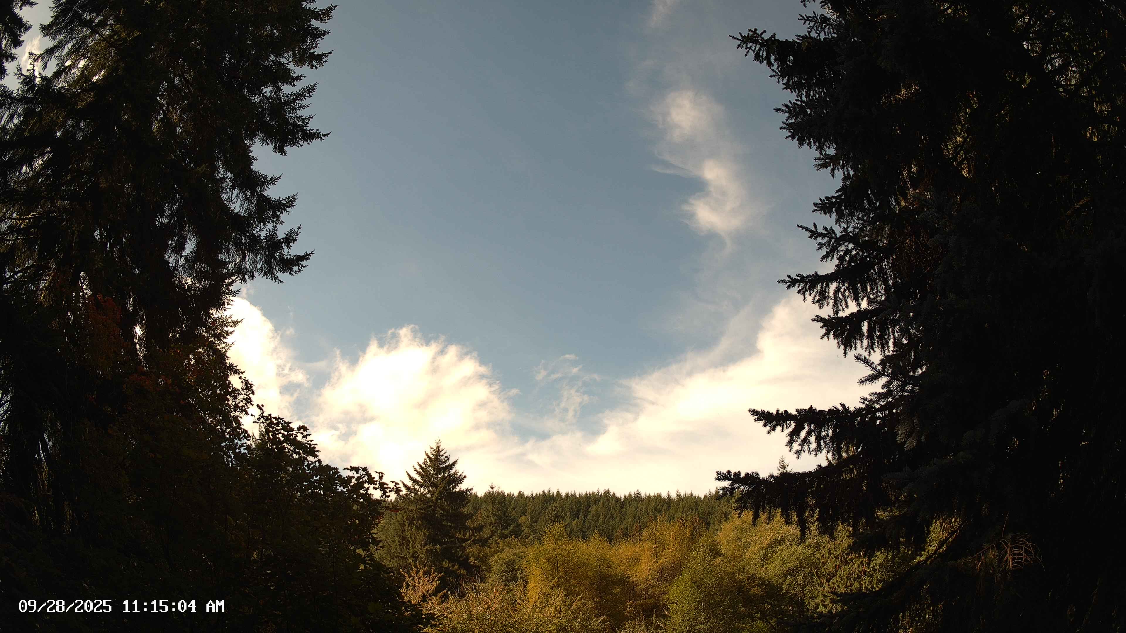 Pacific Northwest skyline timelapse on Sep 28, 2025 at 11:15 AM