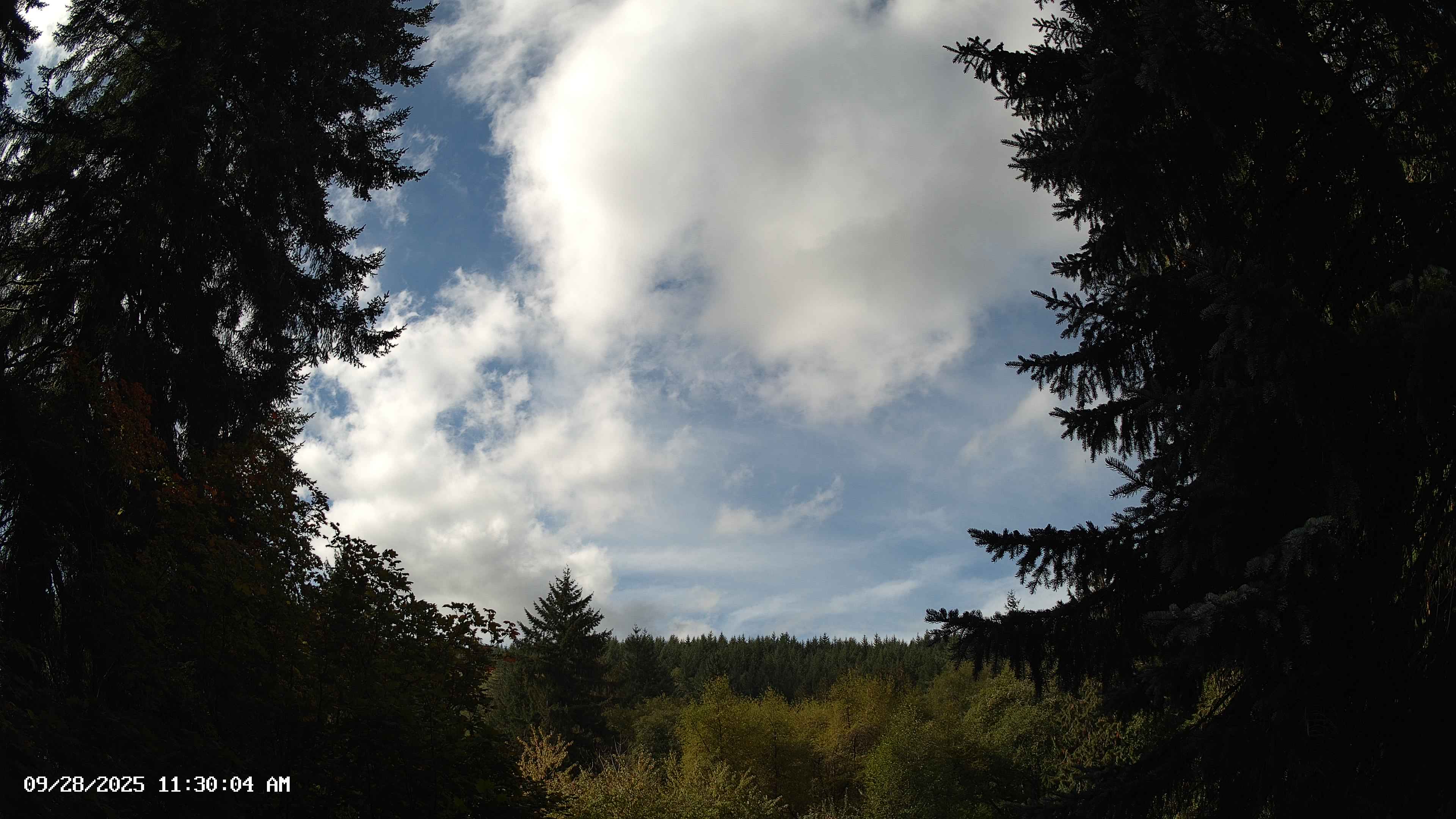 Pacific Northwest skyline timelapse on Sep 28, 2025 at 11:30 AM