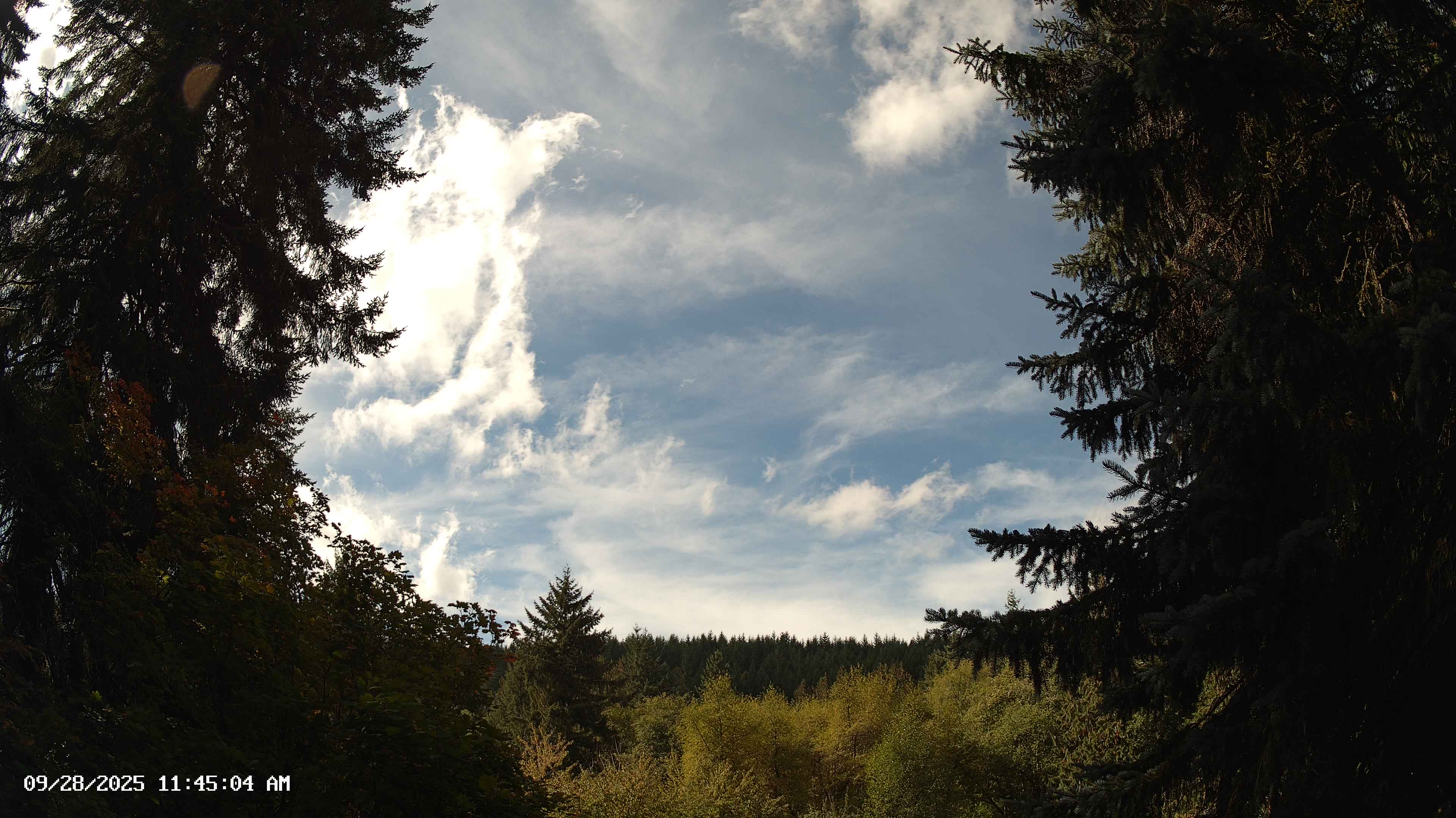 Pacific Northwest skyline timelapse on Sep 28, 2025 at 11:45 AM