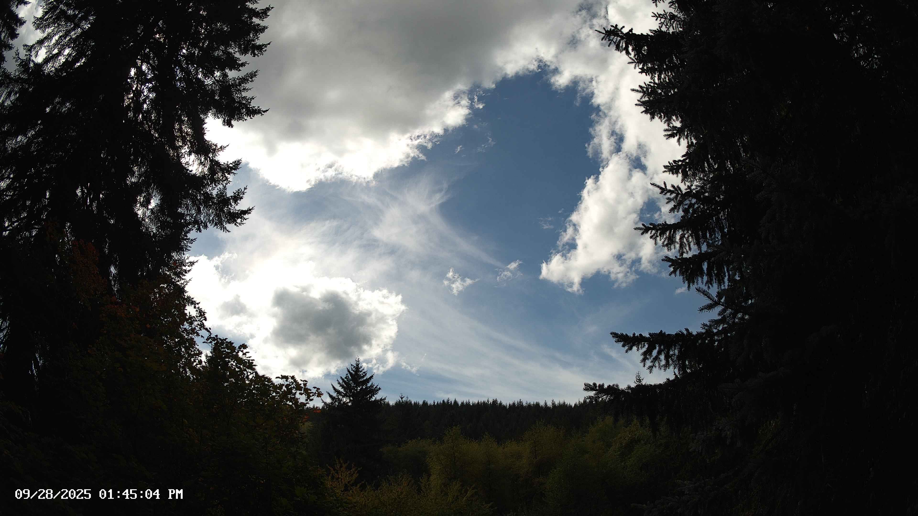 Pacific Northwest skyline timelapse on Sep 28, 2025 at 1:45 PM