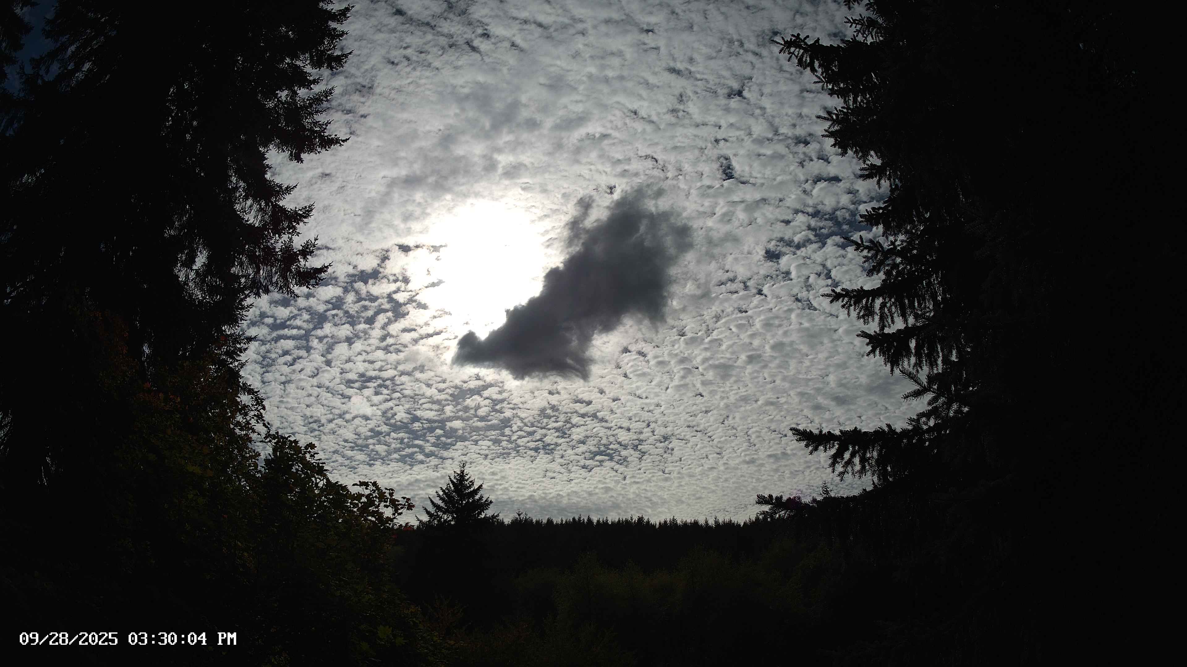 Pacific Northwest skyline timelapse on Sep 28, 2025 at 3:30 PM