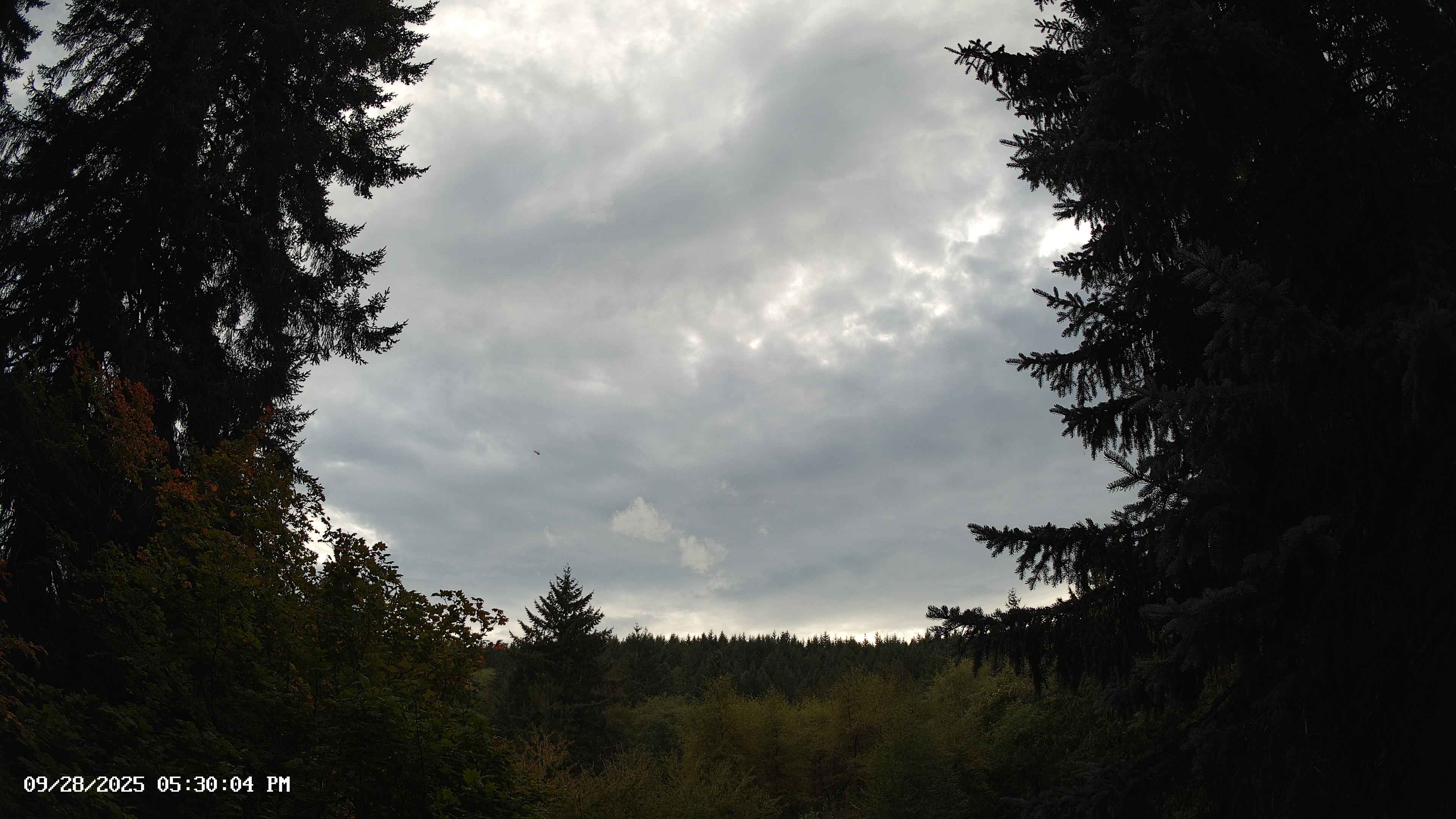 Pacific Northwest skyline timelapse on Sep 28, 2025 at 5:30 PM