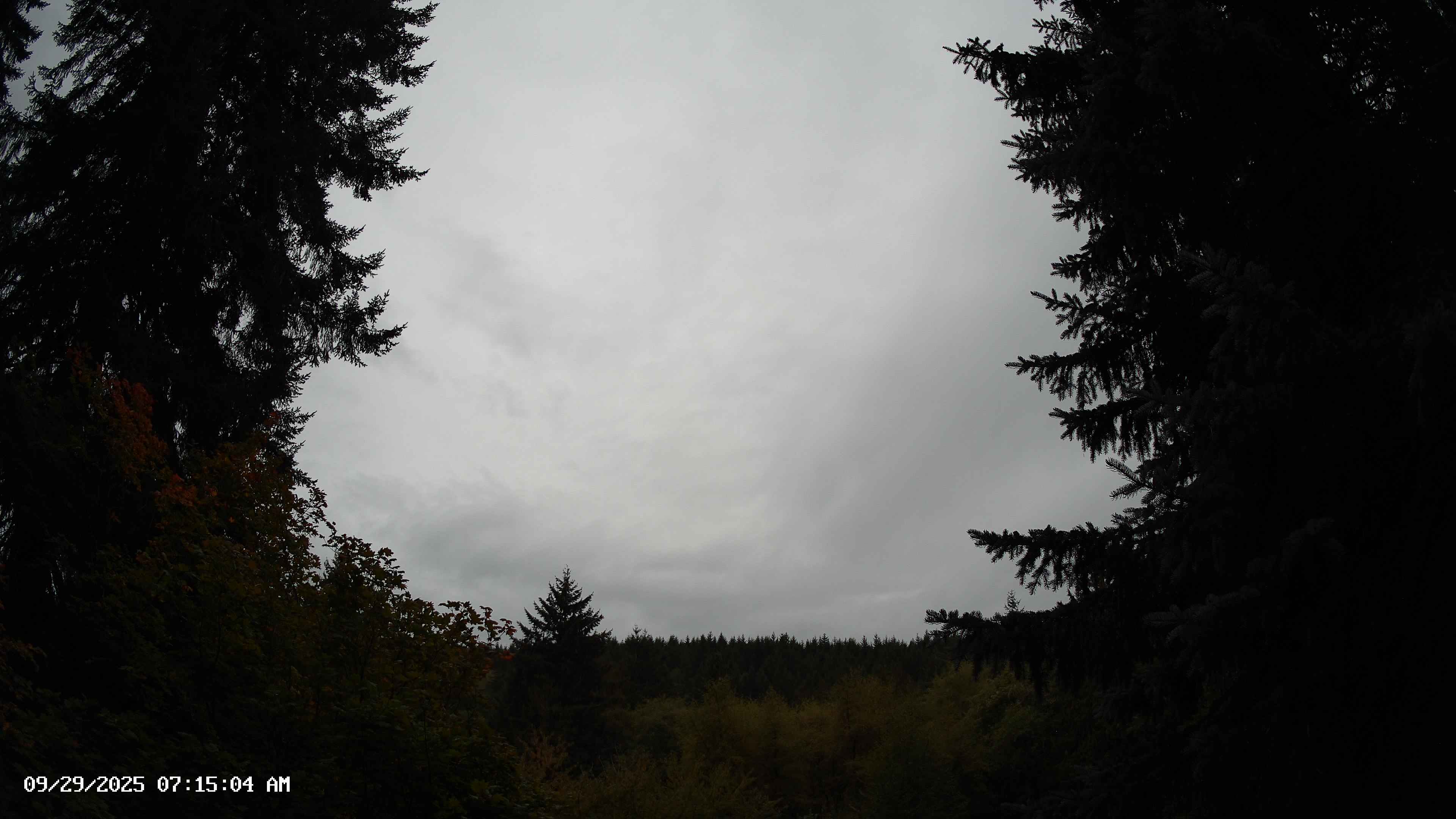 Pacific Northwest skyline timelapse on Sep 29, 2025 at 7:15 AM