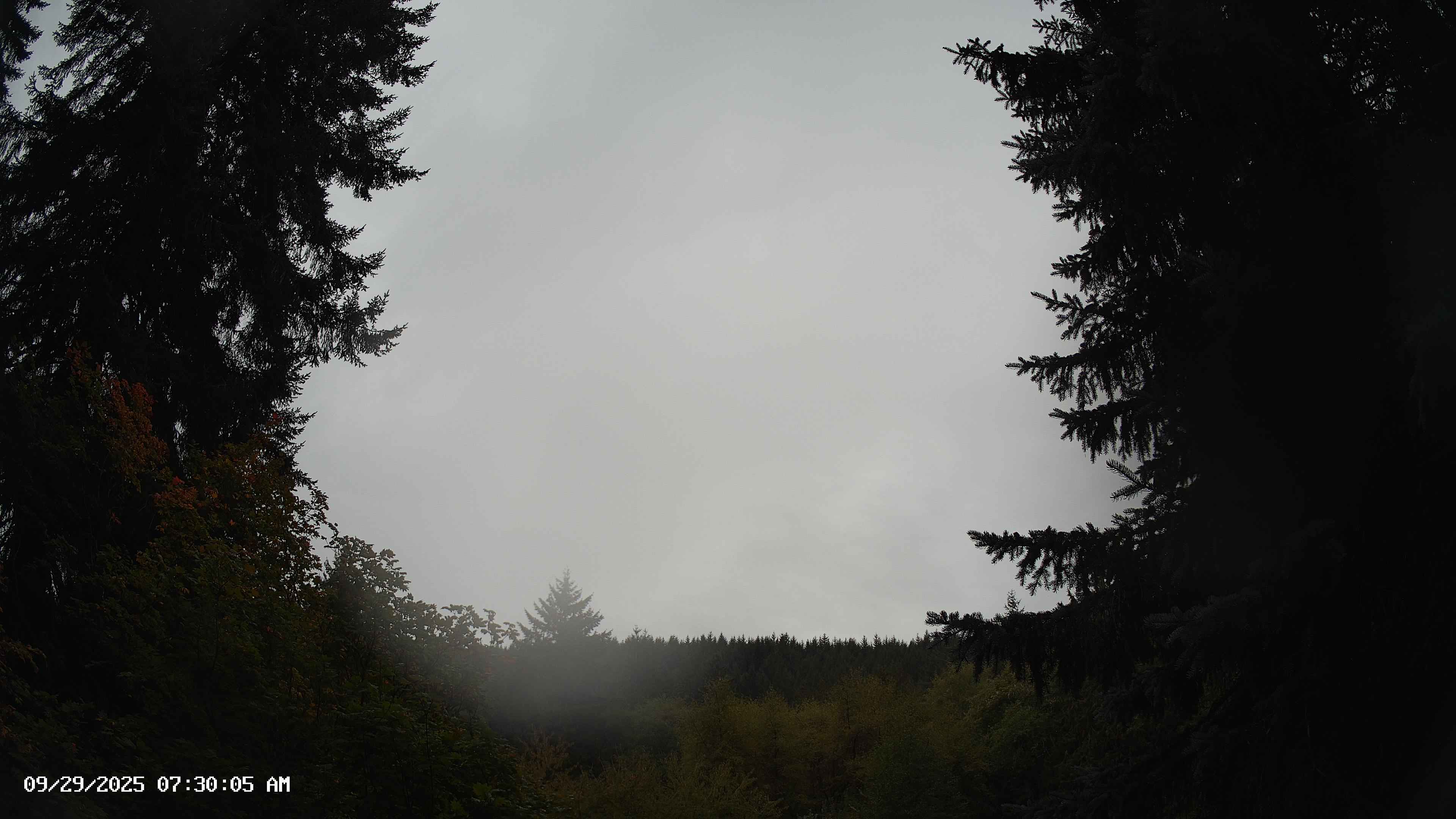 Pacific Northwest skyline timelapse on Sep 29, 2025 at 7:30 AM