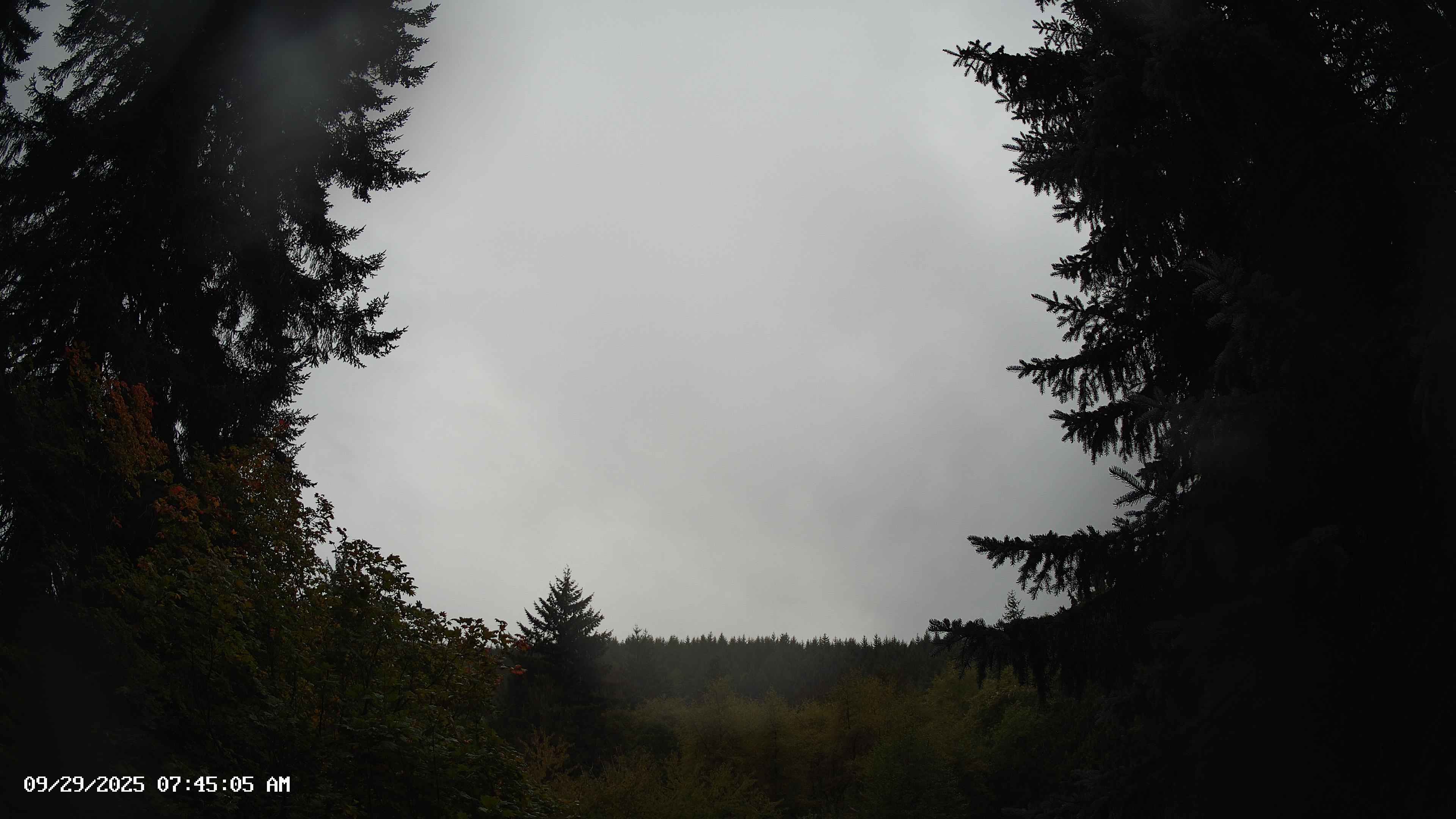 Pacific Northwest skyline timelapse on Sep 29, 2025 at 7:45 AM