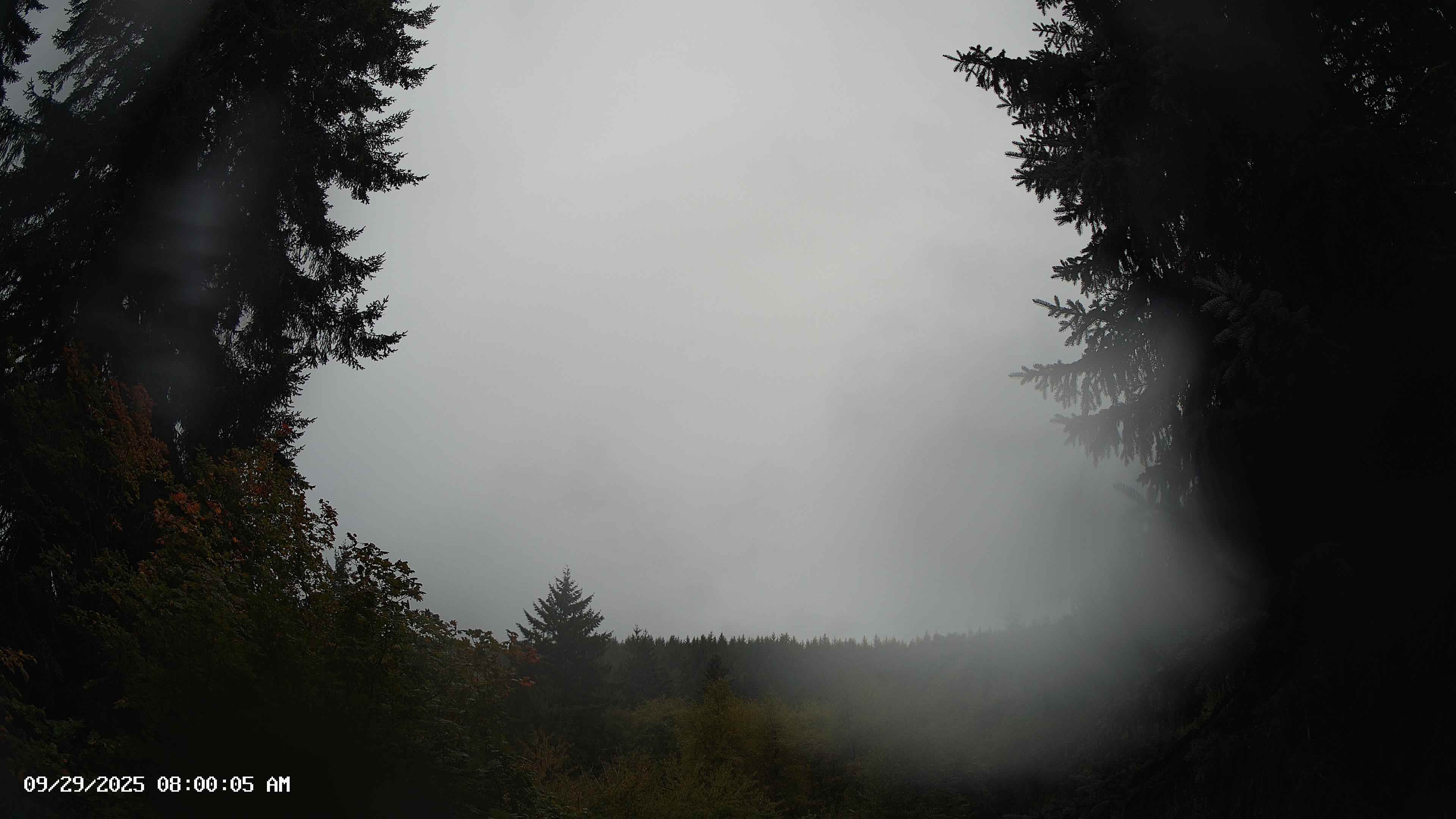 Pacific Northwest skyline timelapse on Sep 29, 2025 at 8:00 AM