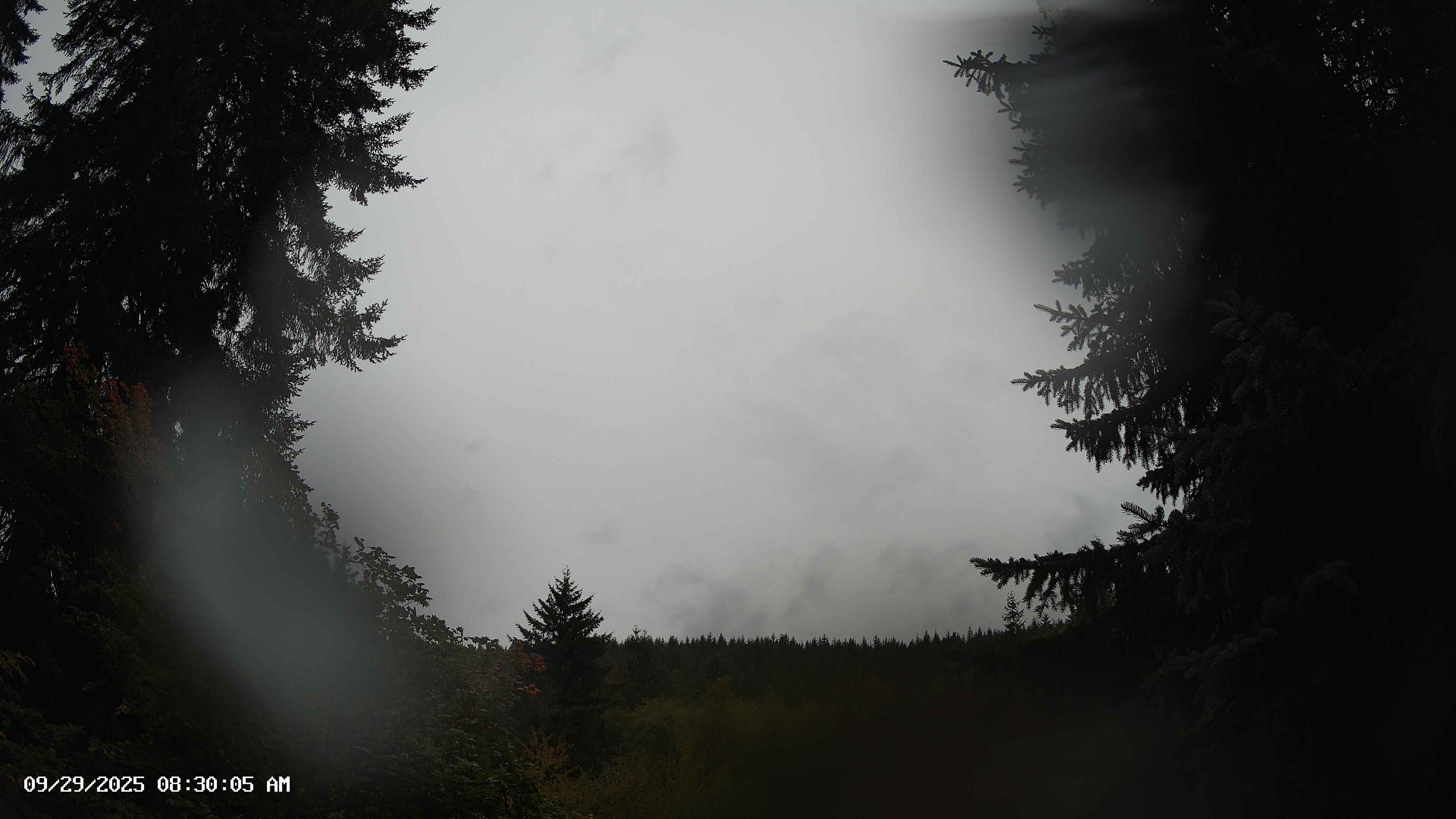 Pacific Northwest skyline timelapse on Sep 29, 2025 at 8:30 AM