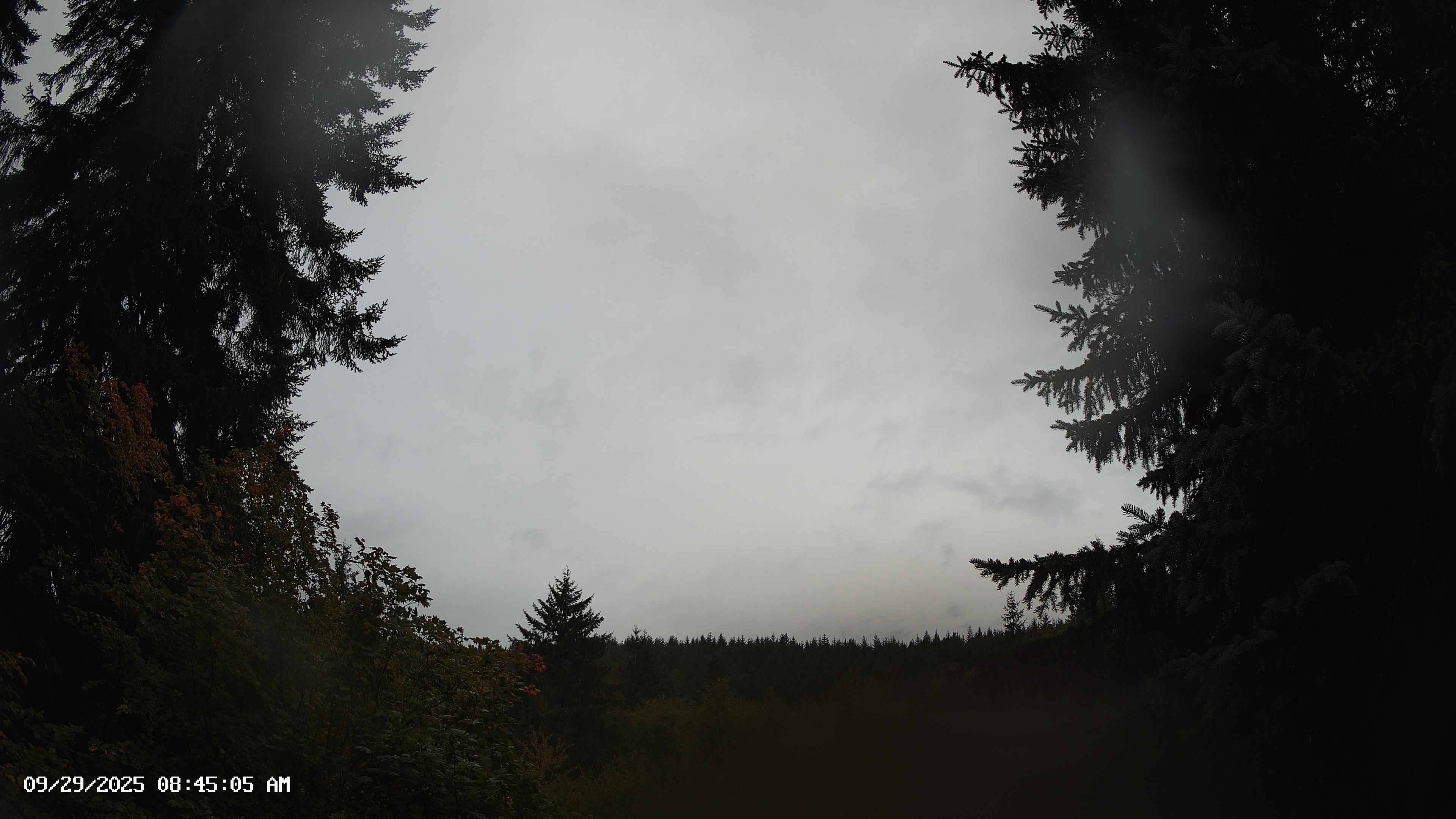 Pacific Northwest skyline timelapse on Sep 29, 2025 at 8:45 AM