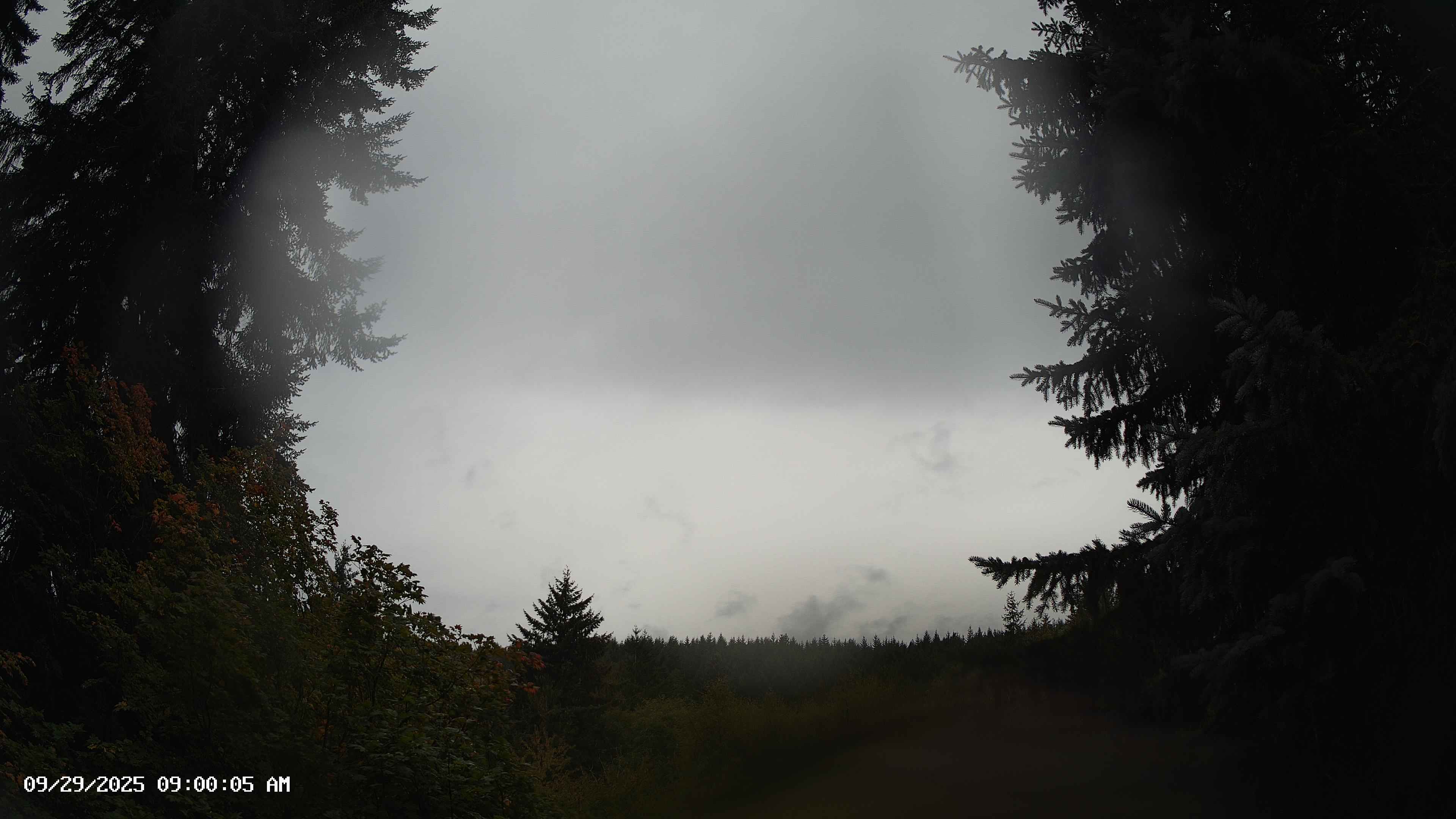 Pacific Northwest skyline timelapse on Sep 29, 2025 at 9:00 AM