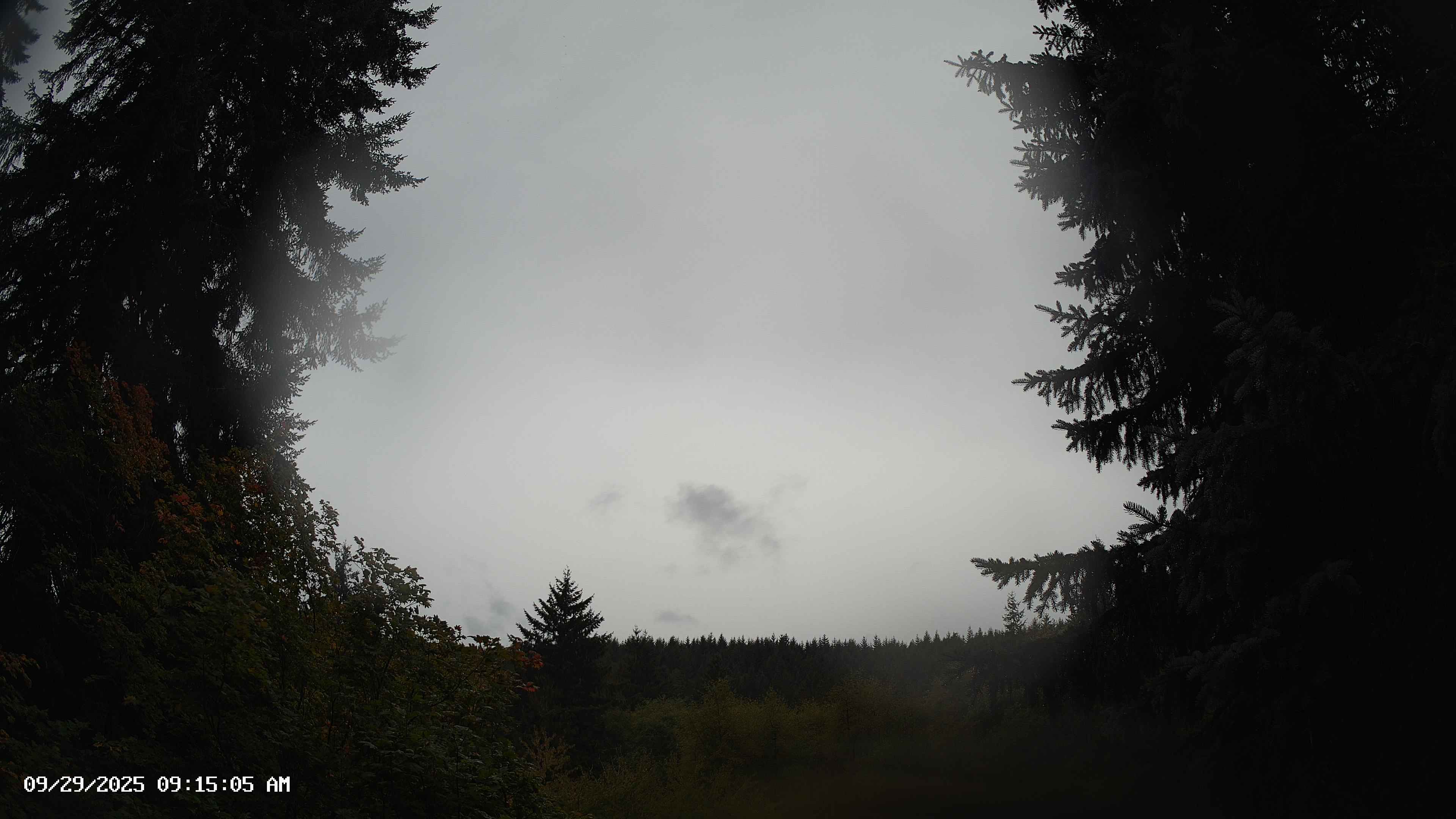 Pacific Northwest skyline timelapse on Sep 29, 2025 at 9:15 AM