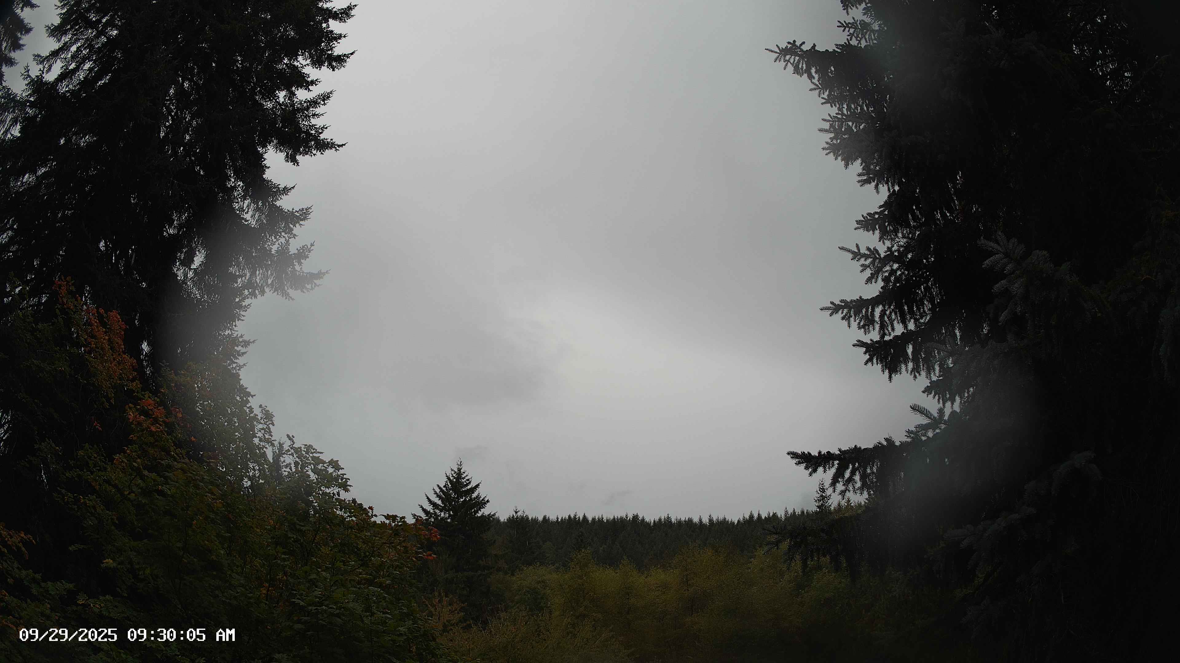 Pacific Northwest skyline timelapse on Sep 29, 2025 at 9:30 AM