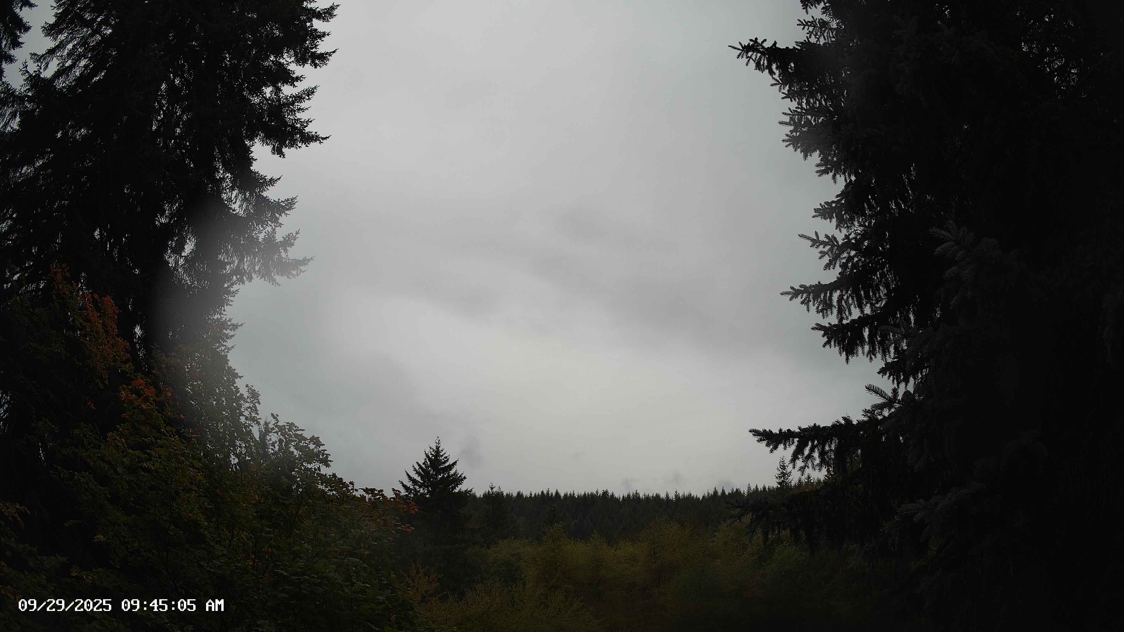 Pacific Northwest skyline timelapse on Sep 29, 2025 at 9:45 AM