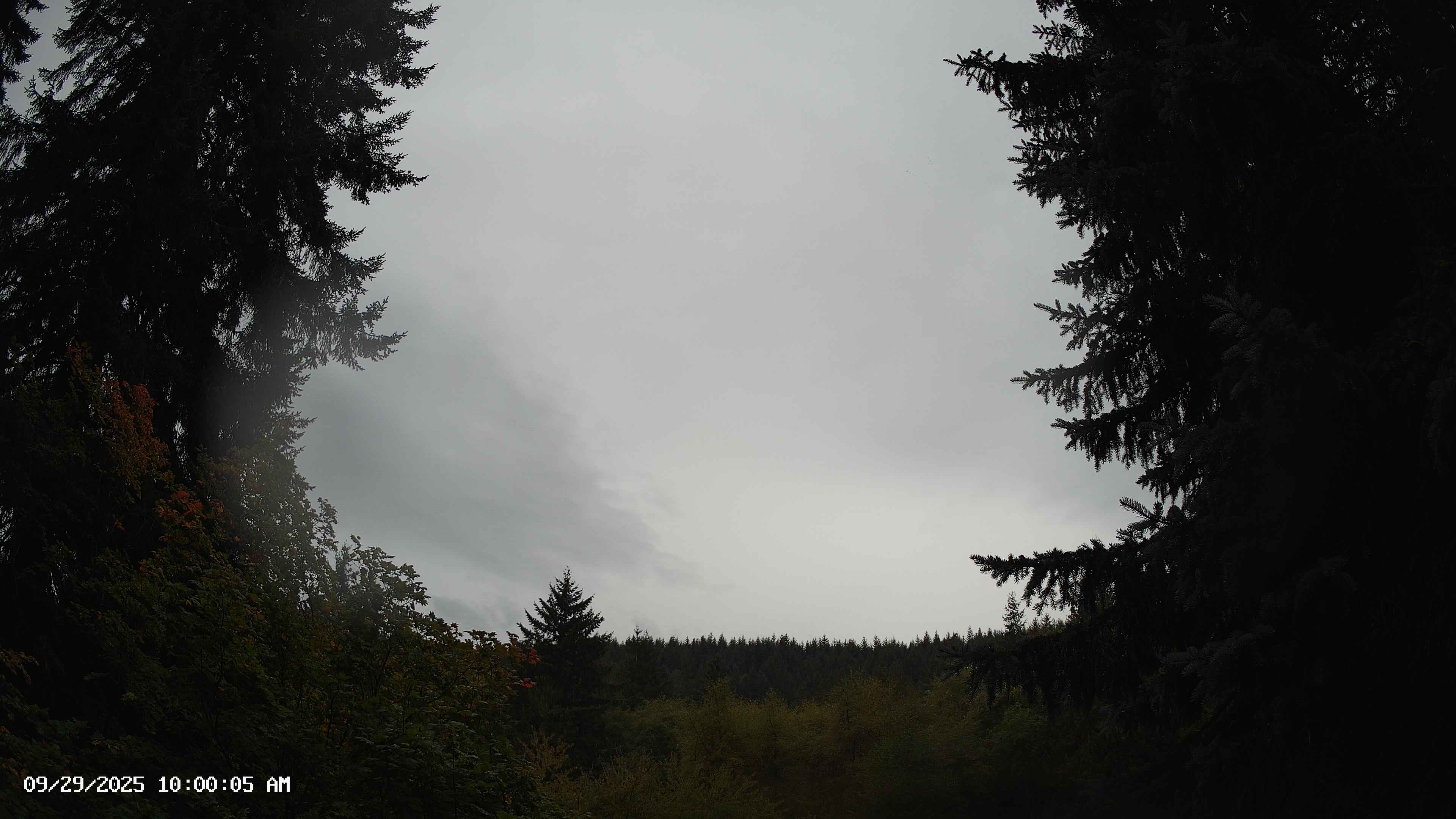 Pacific Northwest skyline timelapse on Sep 29, 2025 at 10:00 AM