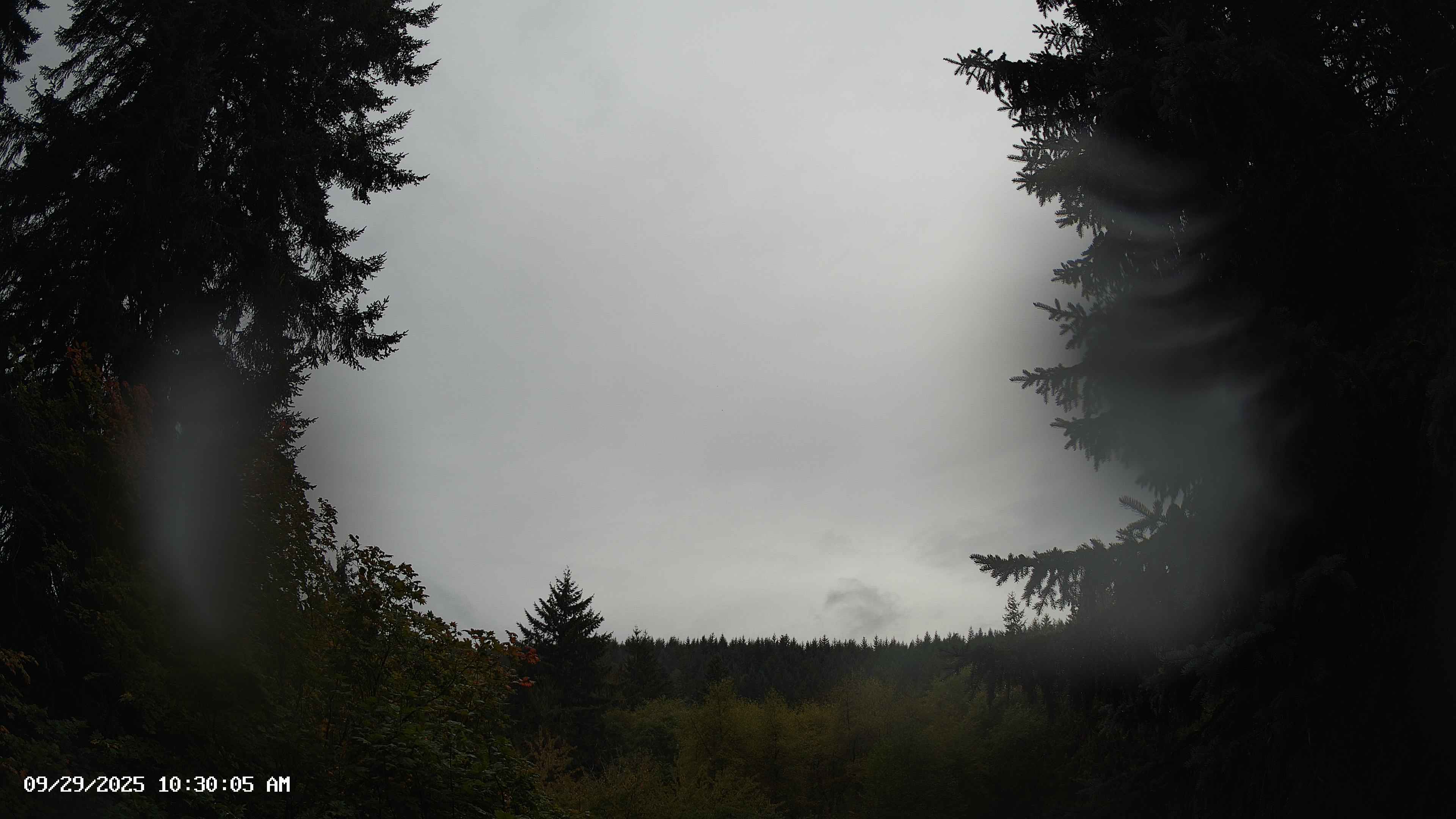 Pacific Northwest skyline timelapse on Sep 29, 2025 at 10:30 AM