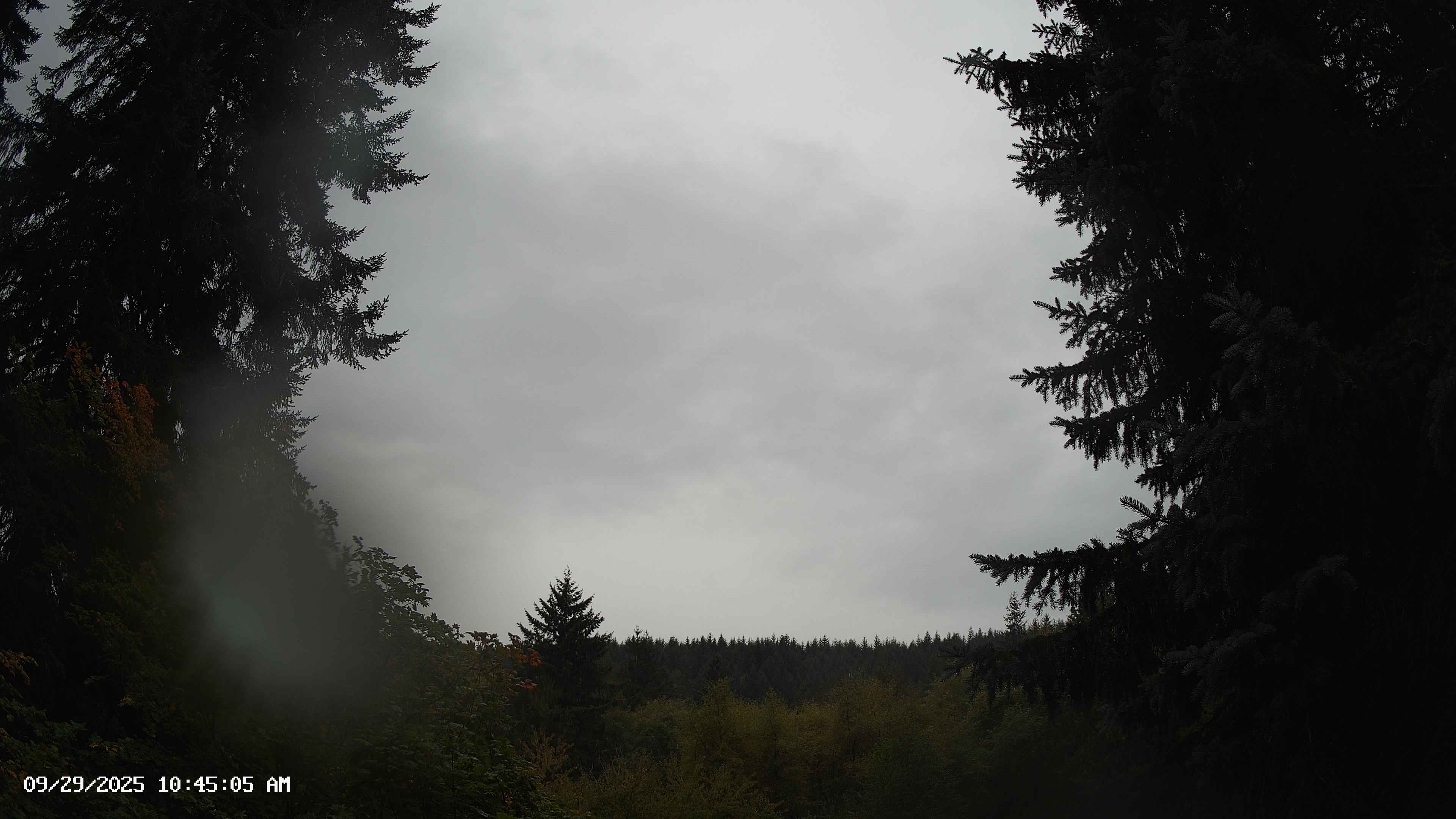 Pacific Northwest skyline timelapse on Sep 29, 2025 at 10:45 AM