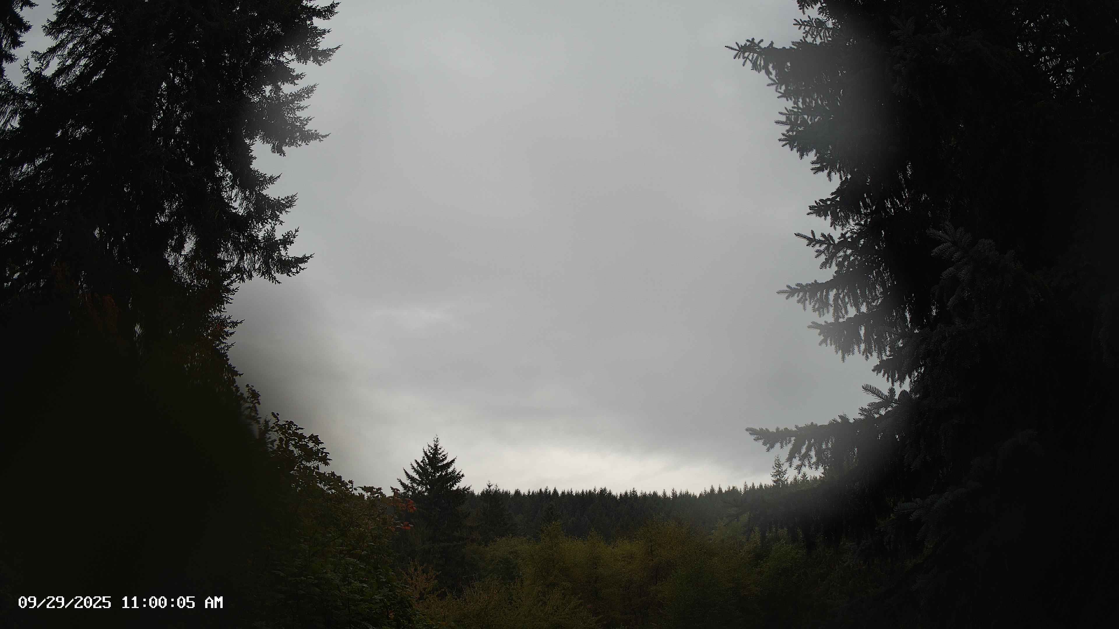 Pacific Northwest skyline timelapse on Sep 29, 2025 at 11:00 AM