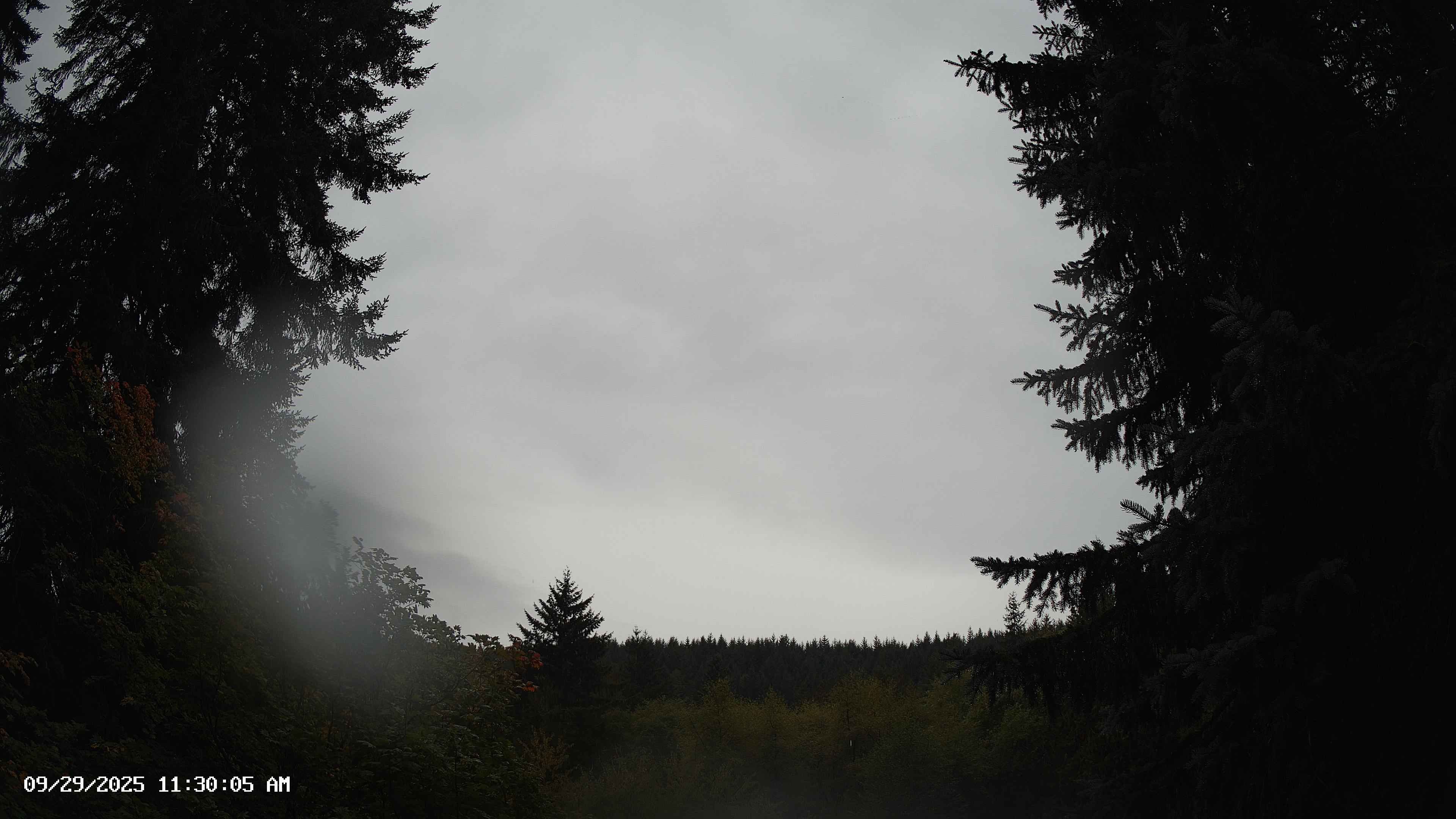 Pacific Northwest skyline timelapse on Sep 29, 2025 at 11:30 AM