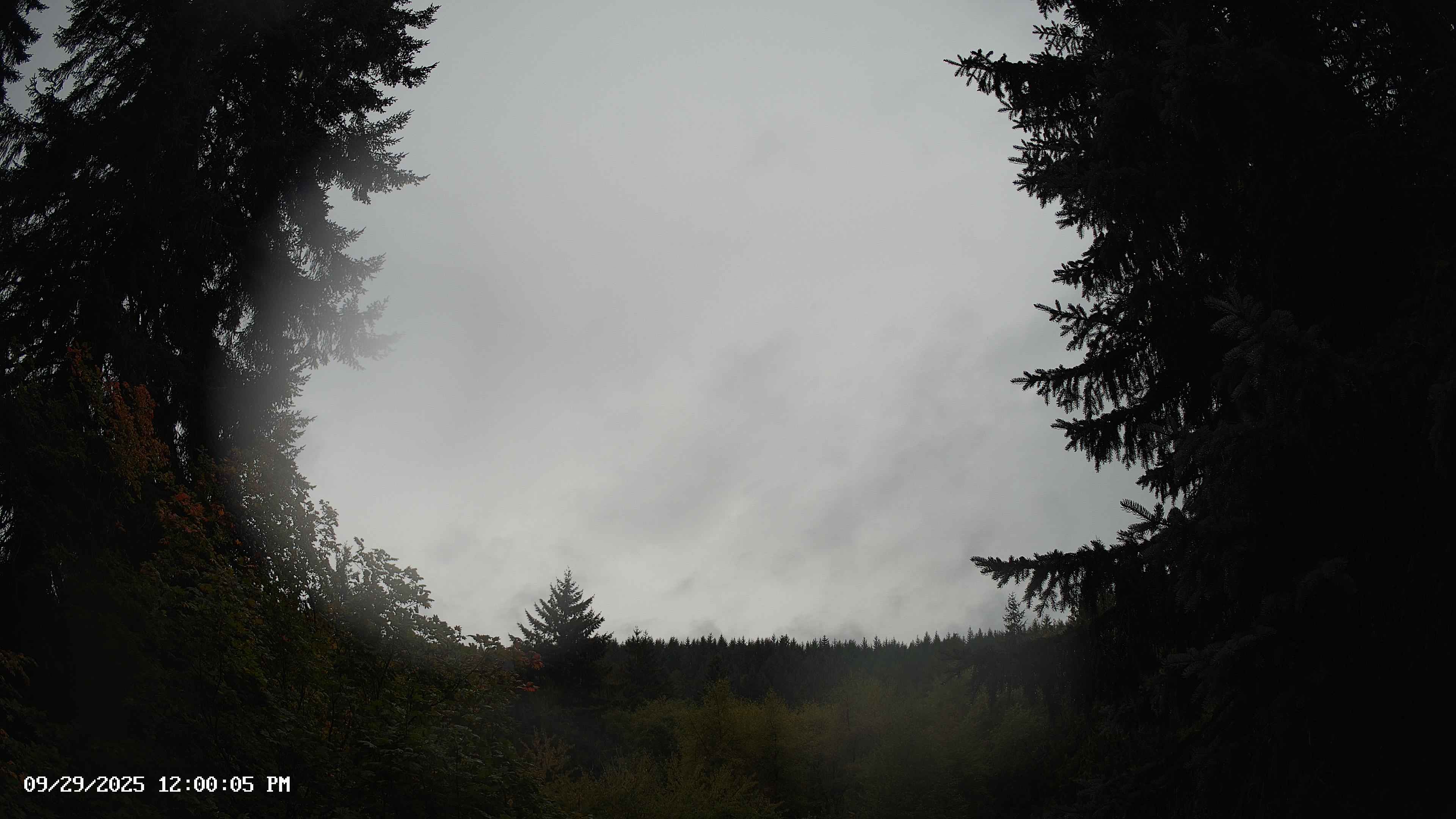 Pacific Northwest skyline timelapse on Sep 29, 2025 at 12:00 PM
