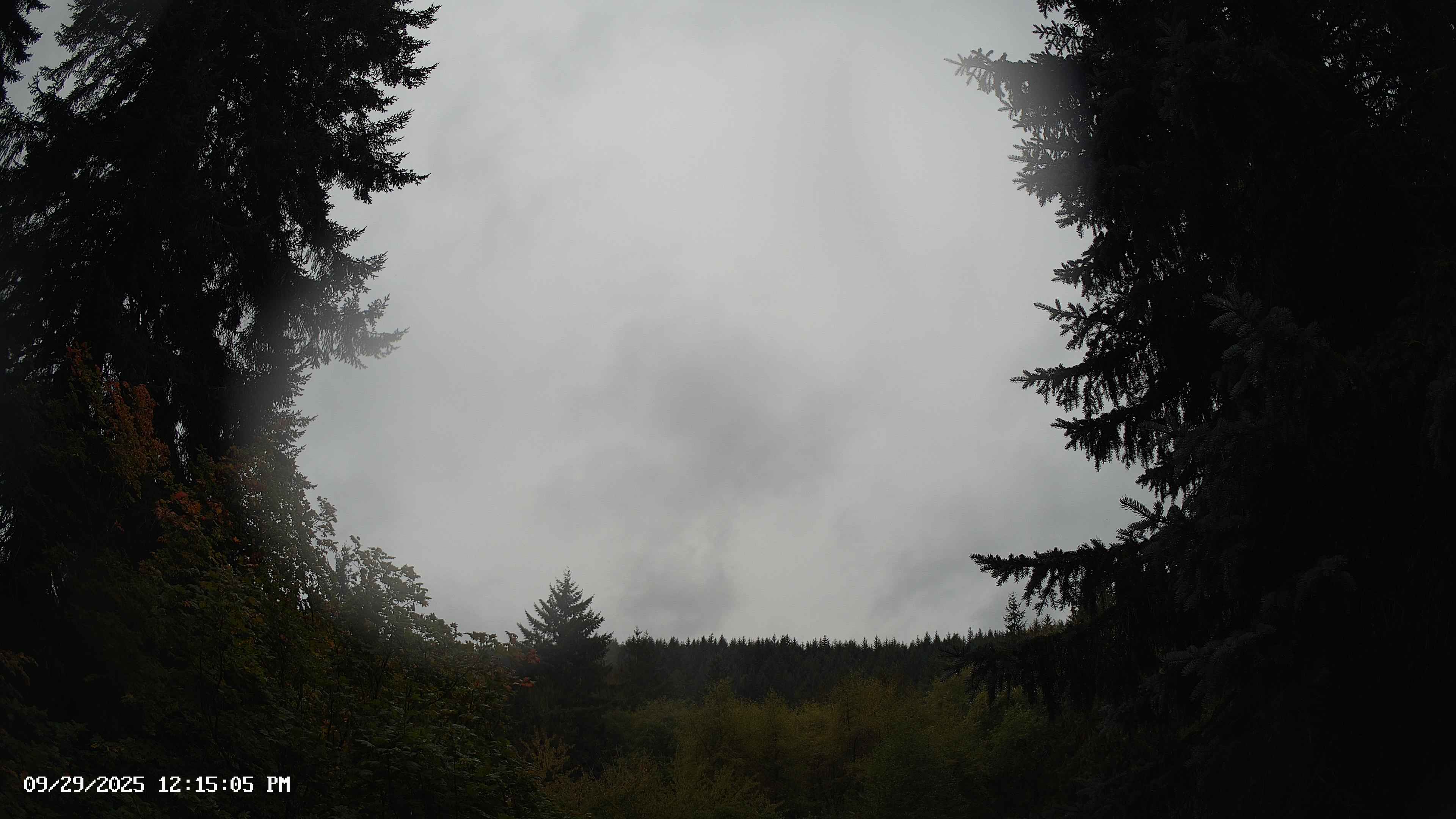 Pacific Northwest skyline timelapse on Sep 29, 2025 at 12:15 PM