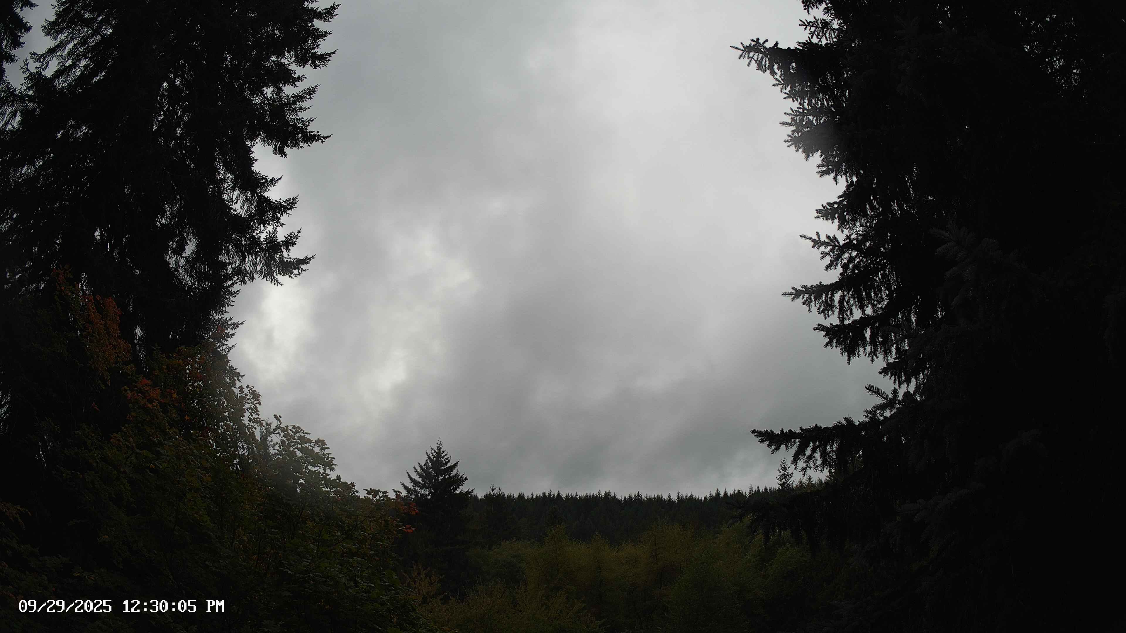 Pacific Northwest skyline timelapse on Sep 29, 2025 at 12:30 PM