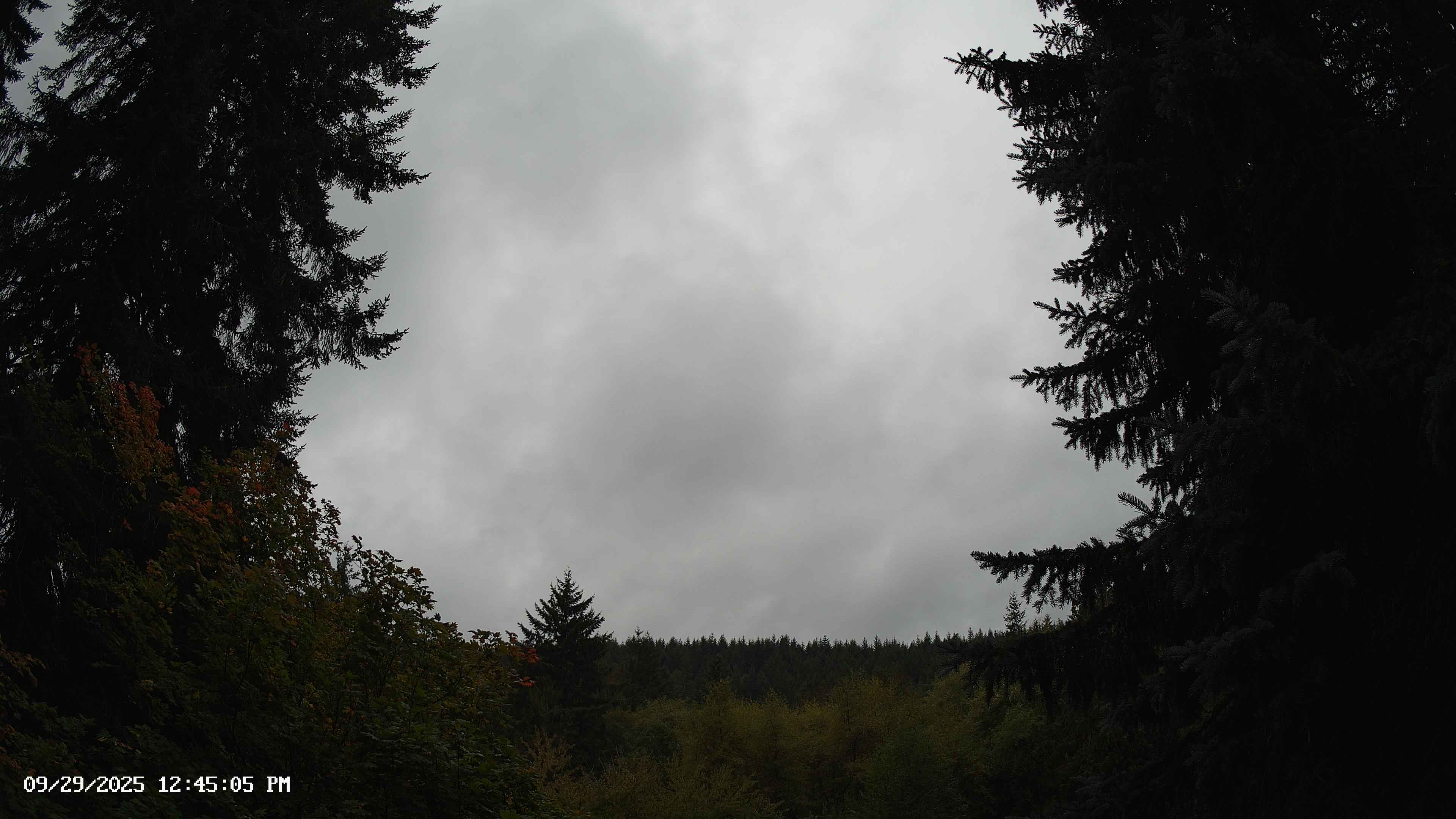 Pacific Northwest skyline timelapse on Sep 29, 2025 at 12:45 PM