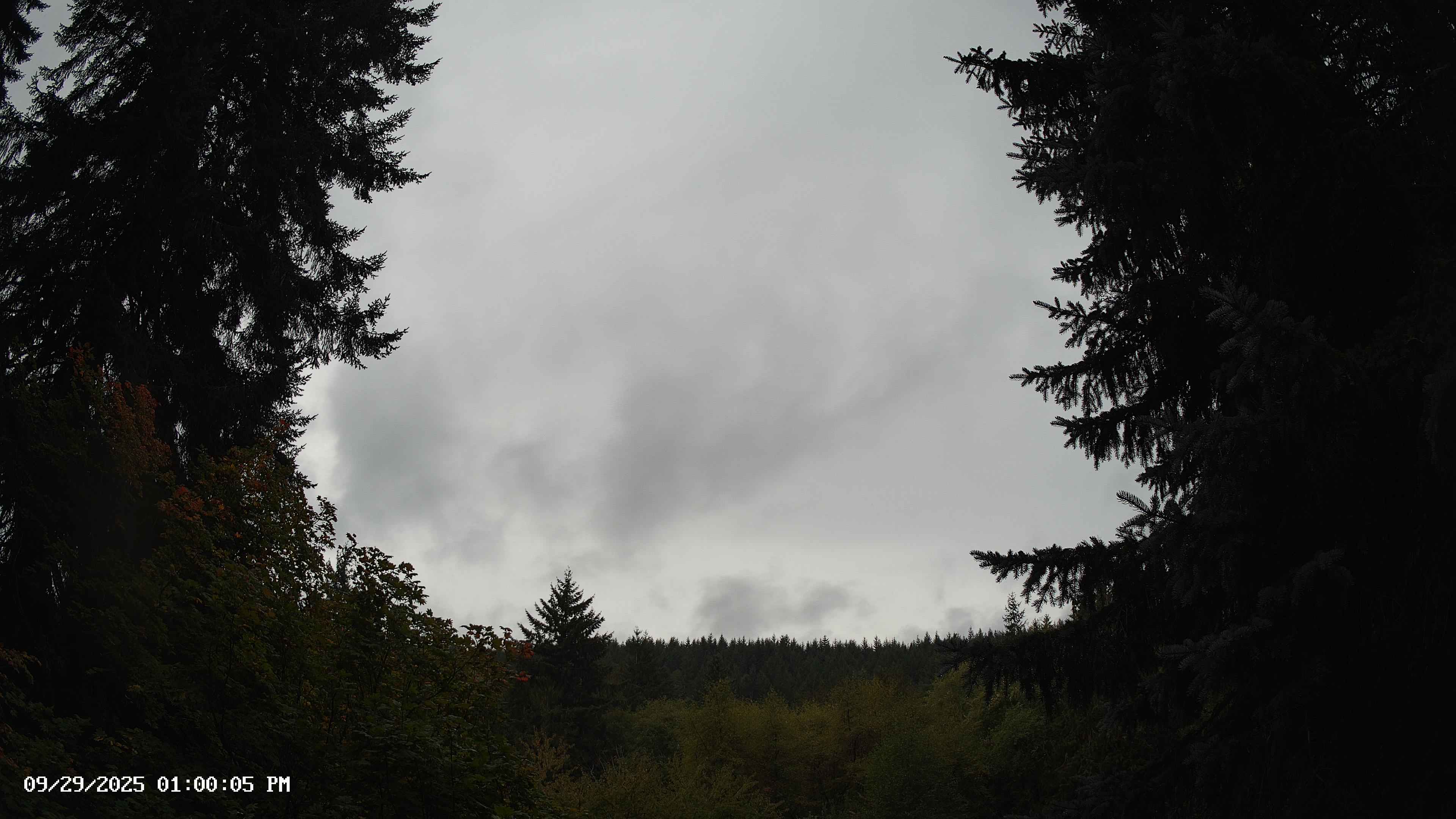 Pacific Northwest skyline timelapse on Sep 29, 2025 at 1:00 PM