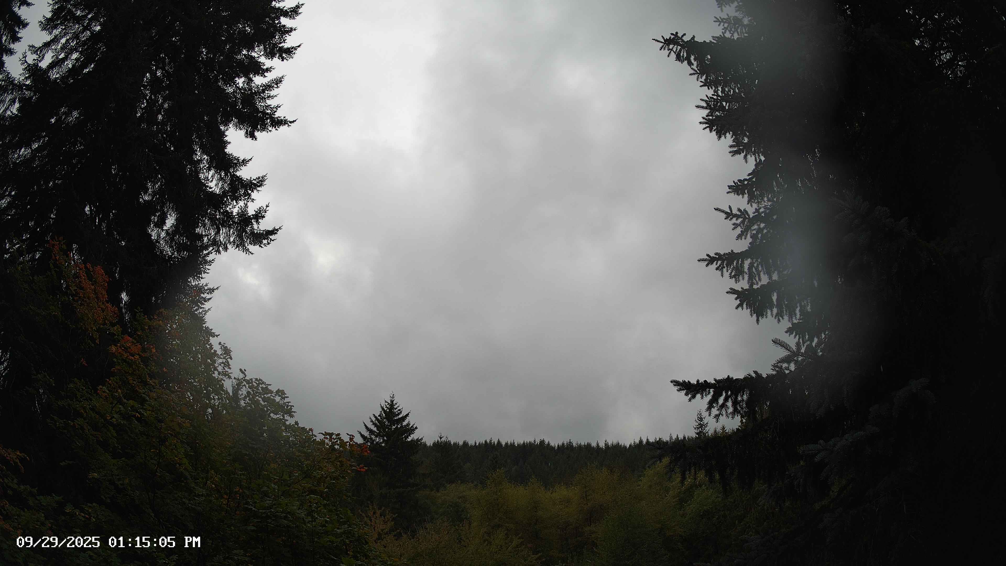 Pacific Northwest skyline timelapse on Sep 29, 2025 at 1:15 PM